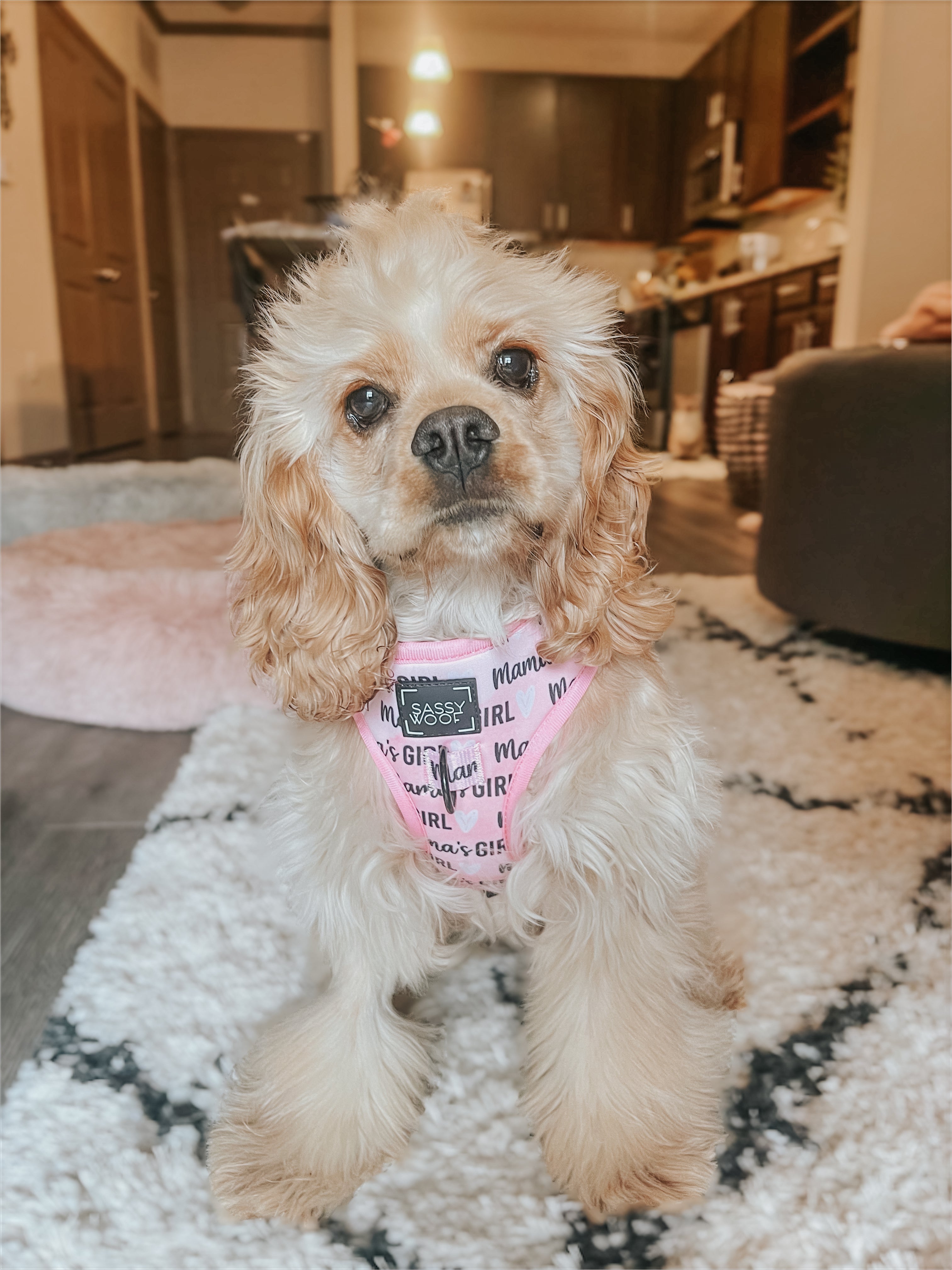 Dog Adjustable Harness - Mama's Girl