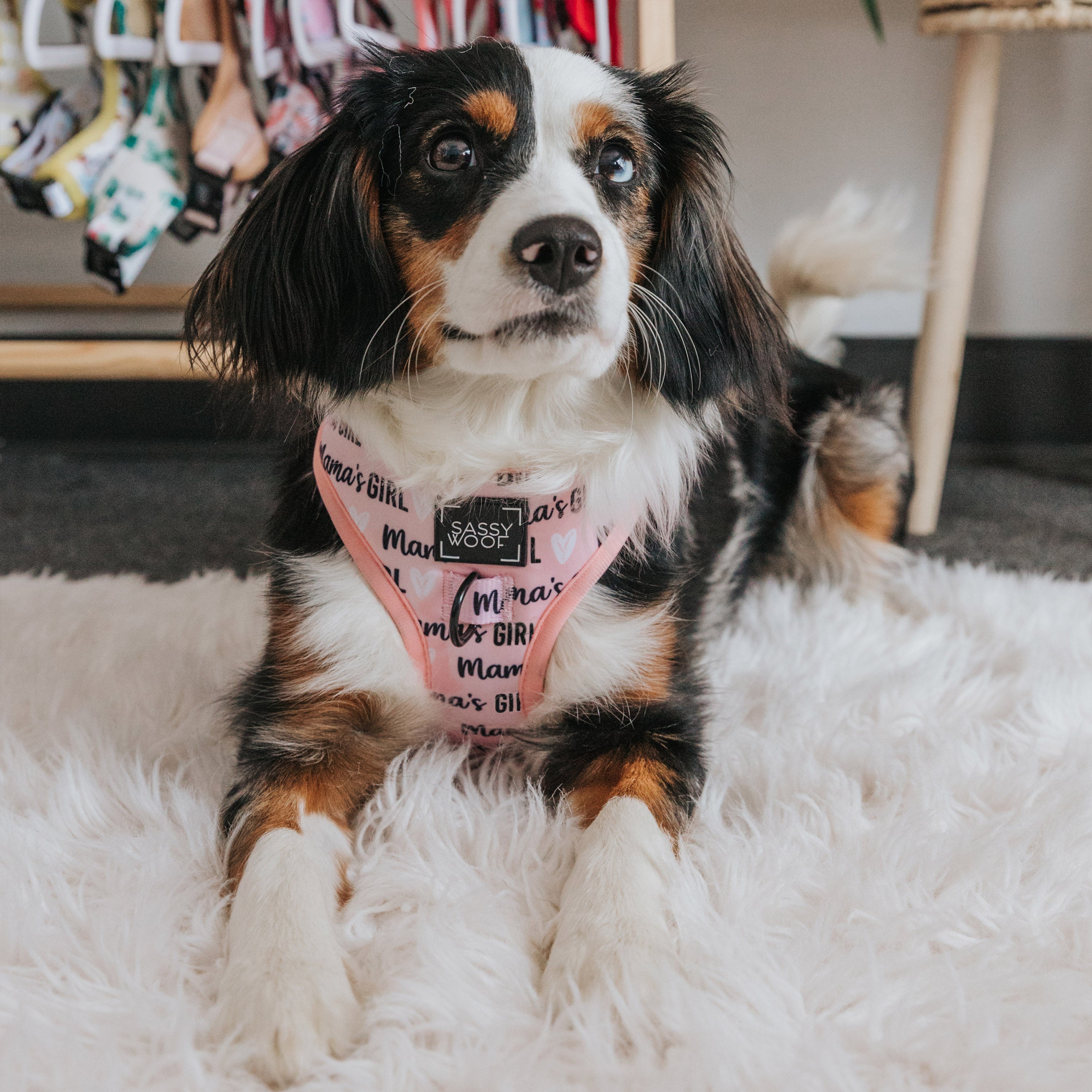 Dog Adjustable Harness - Mama's Girl