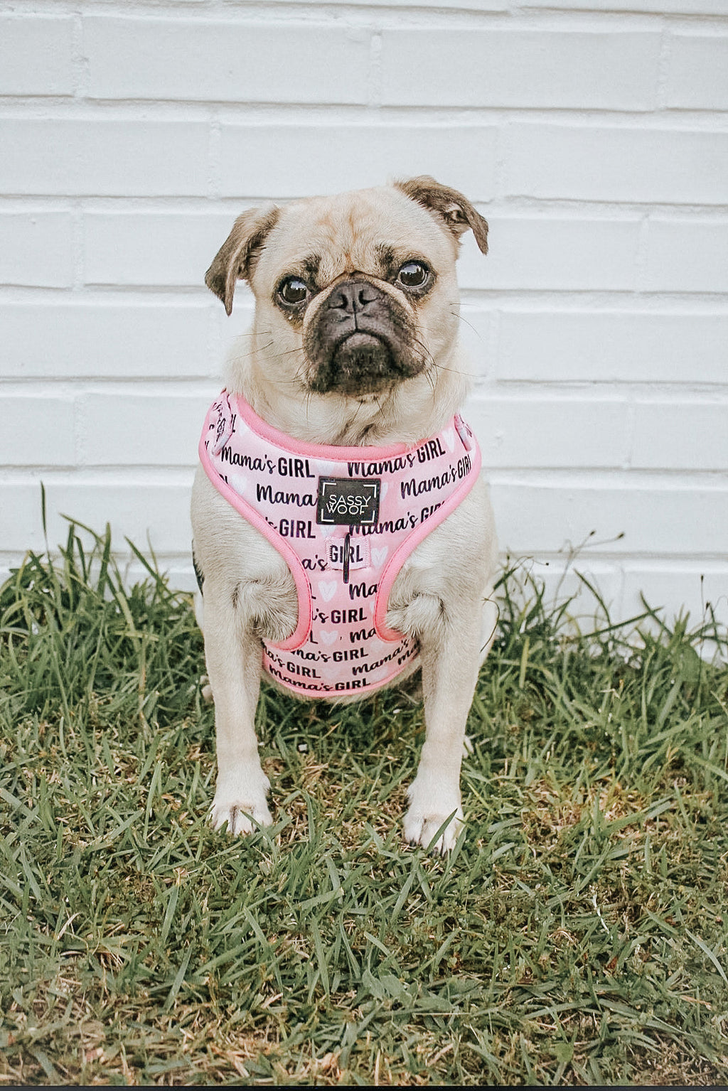 Dog Adjustable Harness - Mama's Girl