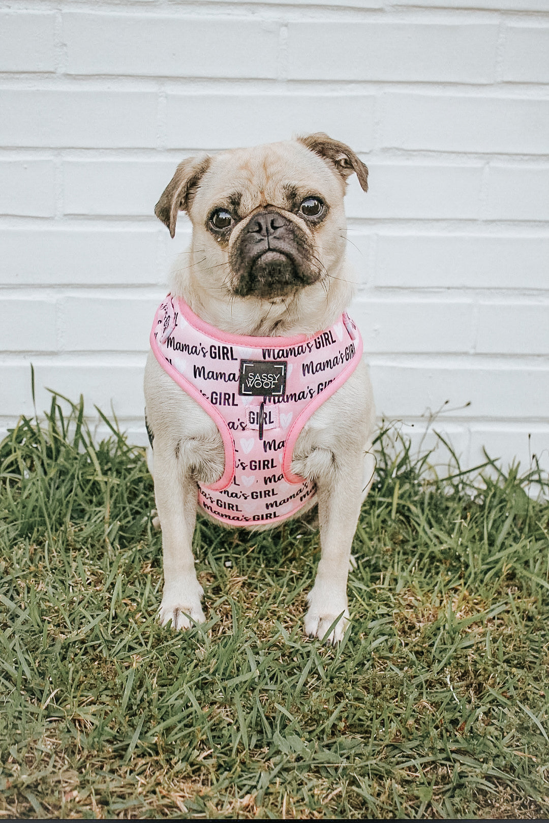 Dog Adjustable Harness - Mama's Girl