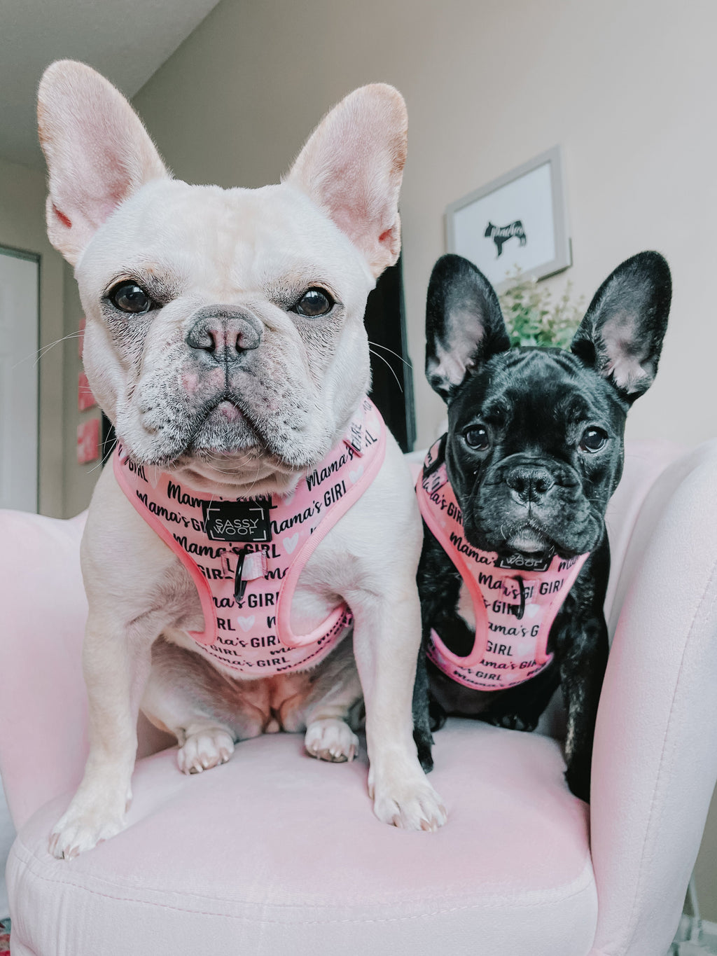 Dog Adjustable Harness - Mama's Girl