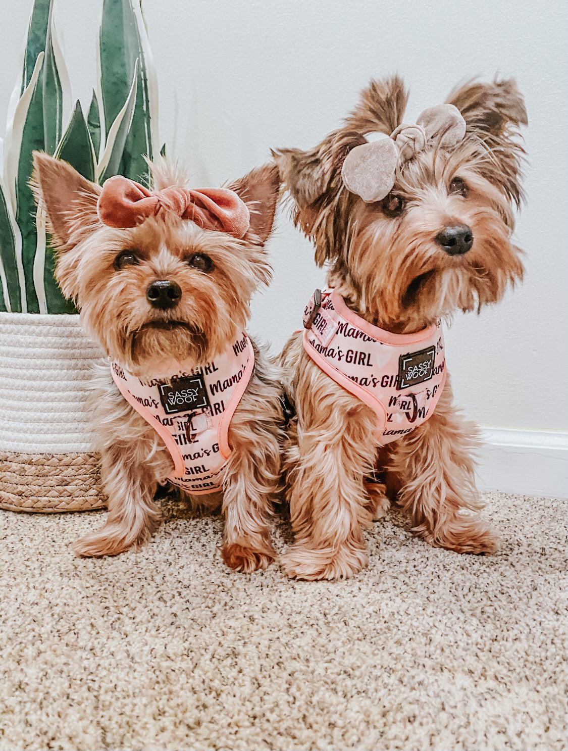 Dog Adjustable Harness - Mama's Girl
