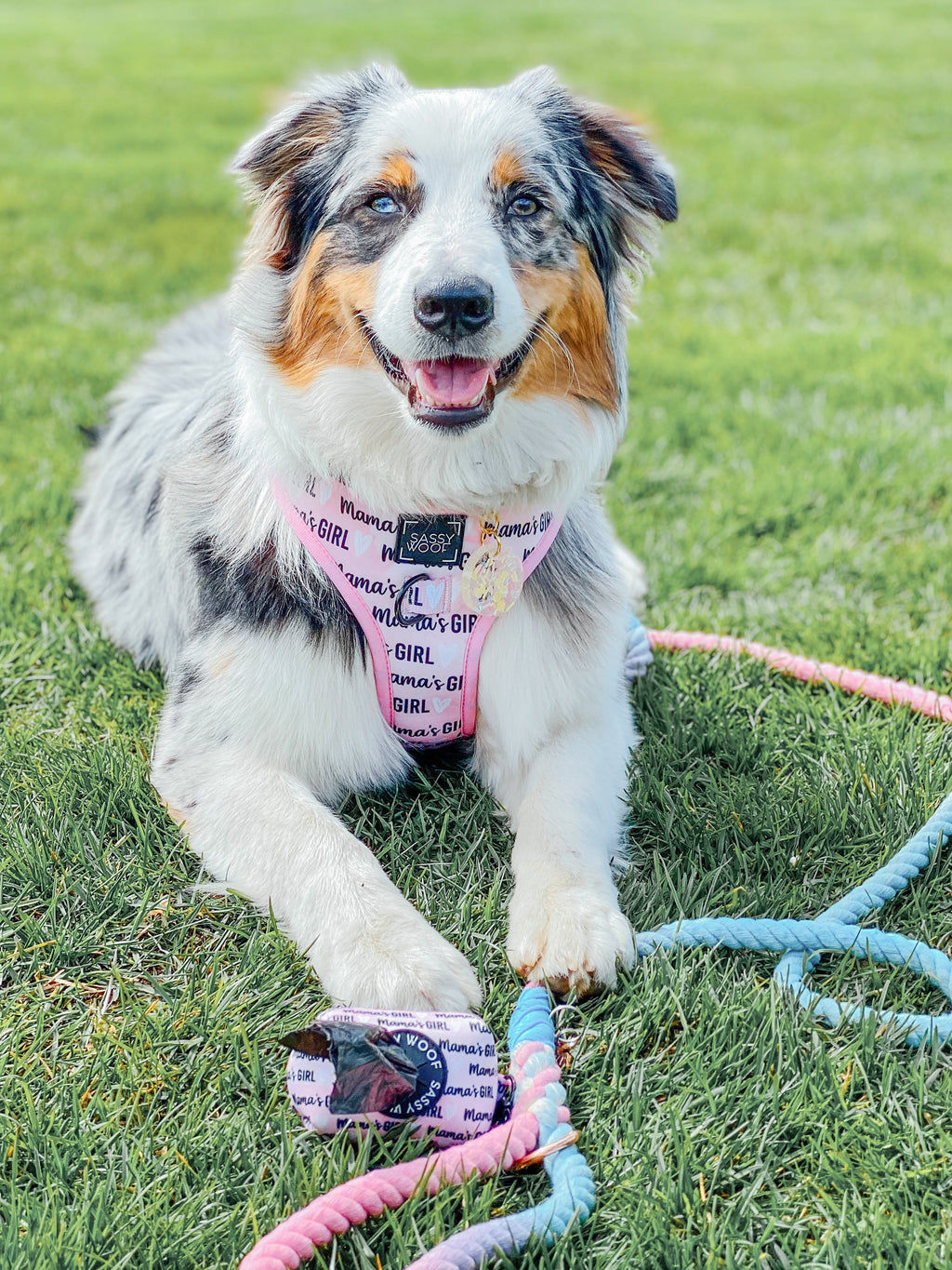 Dog Adjustable Harness - Mama's Girl