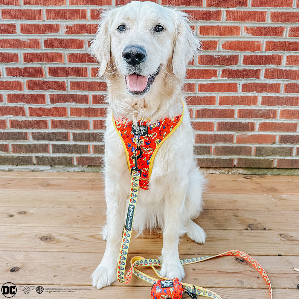 Dog Adjustable Harness - Wonder Woman™