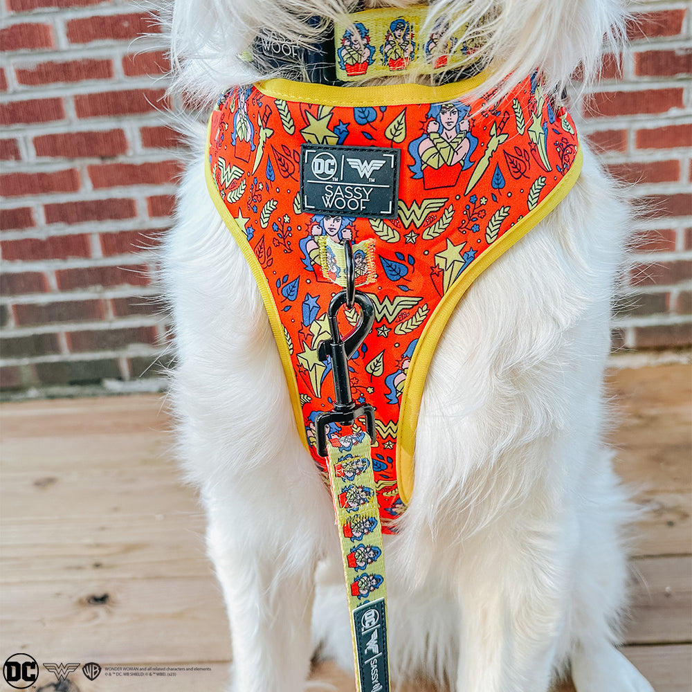 Dog Adjustable Harness - Wonder Woman™
