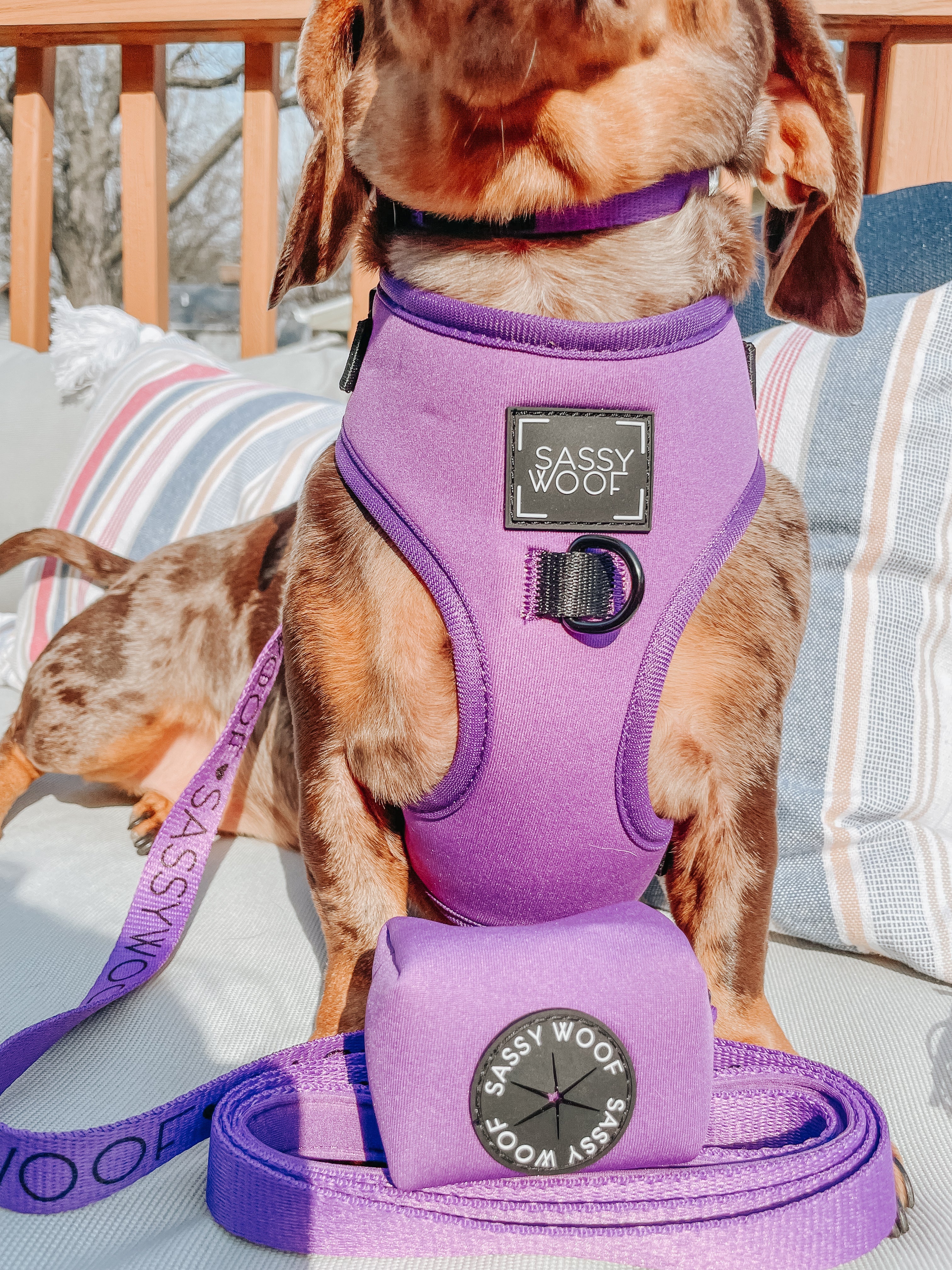 Dog Adjustable Harness - Neon Purple