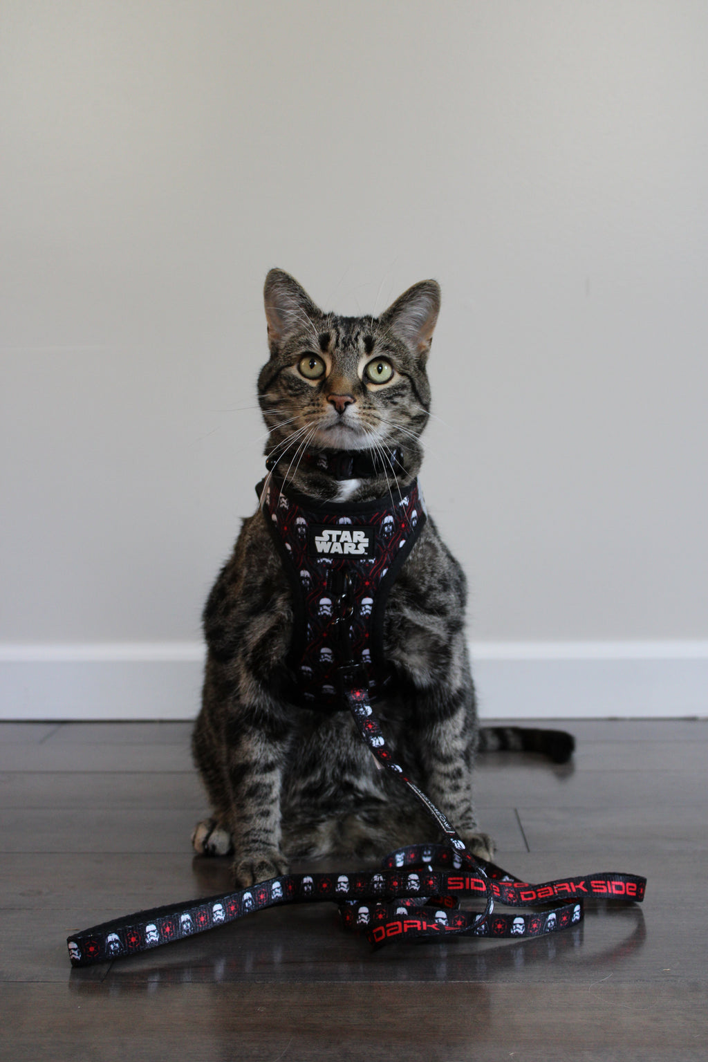 Cat Leash - STAR WARS™ The Dark Side