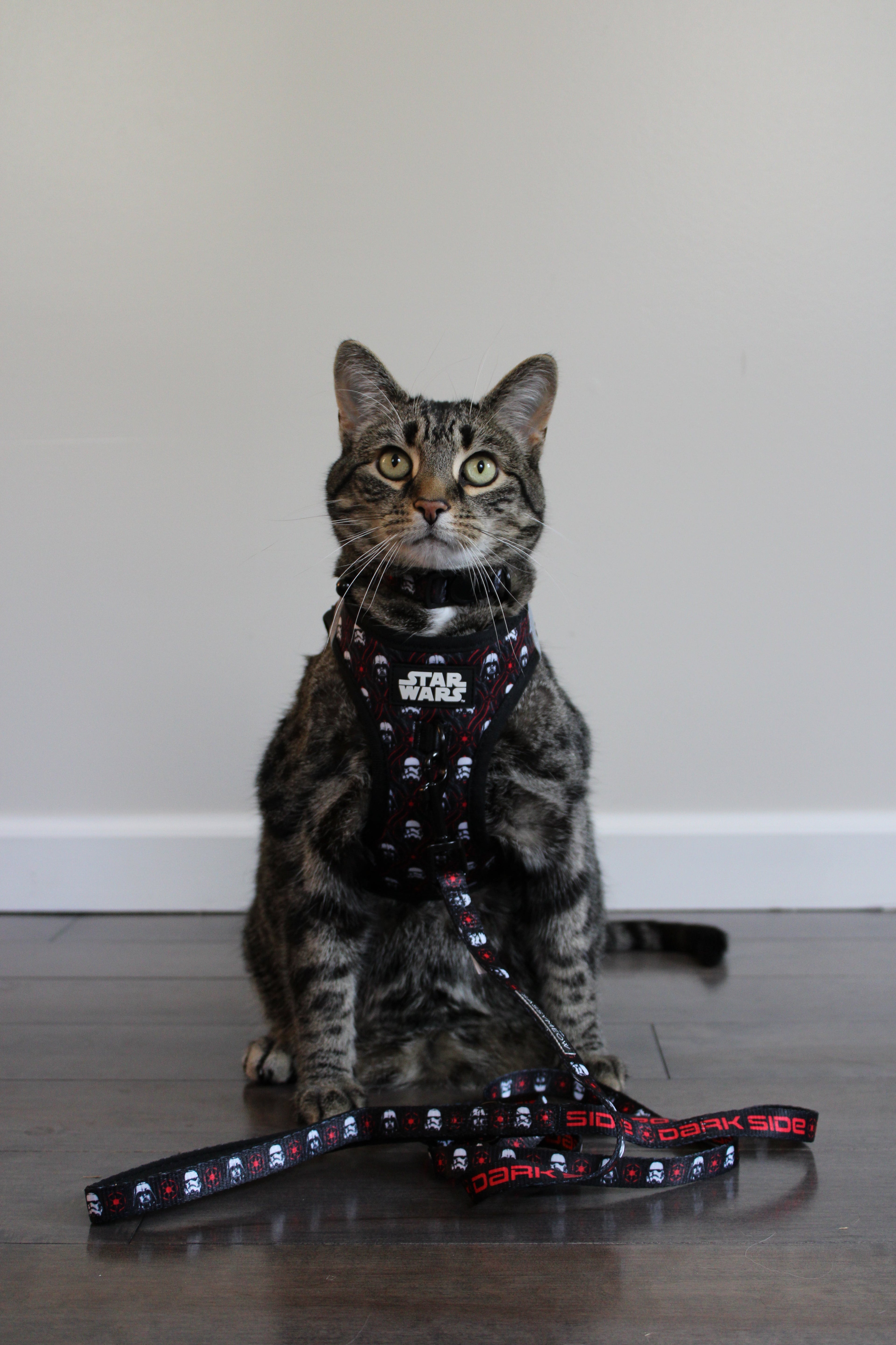 Cat Leash - STAR WARS™ The Dark Side