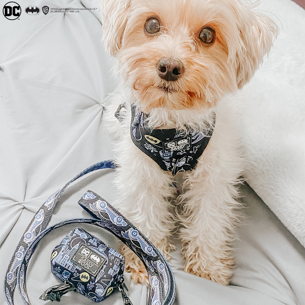 Dog Leash - Batman™