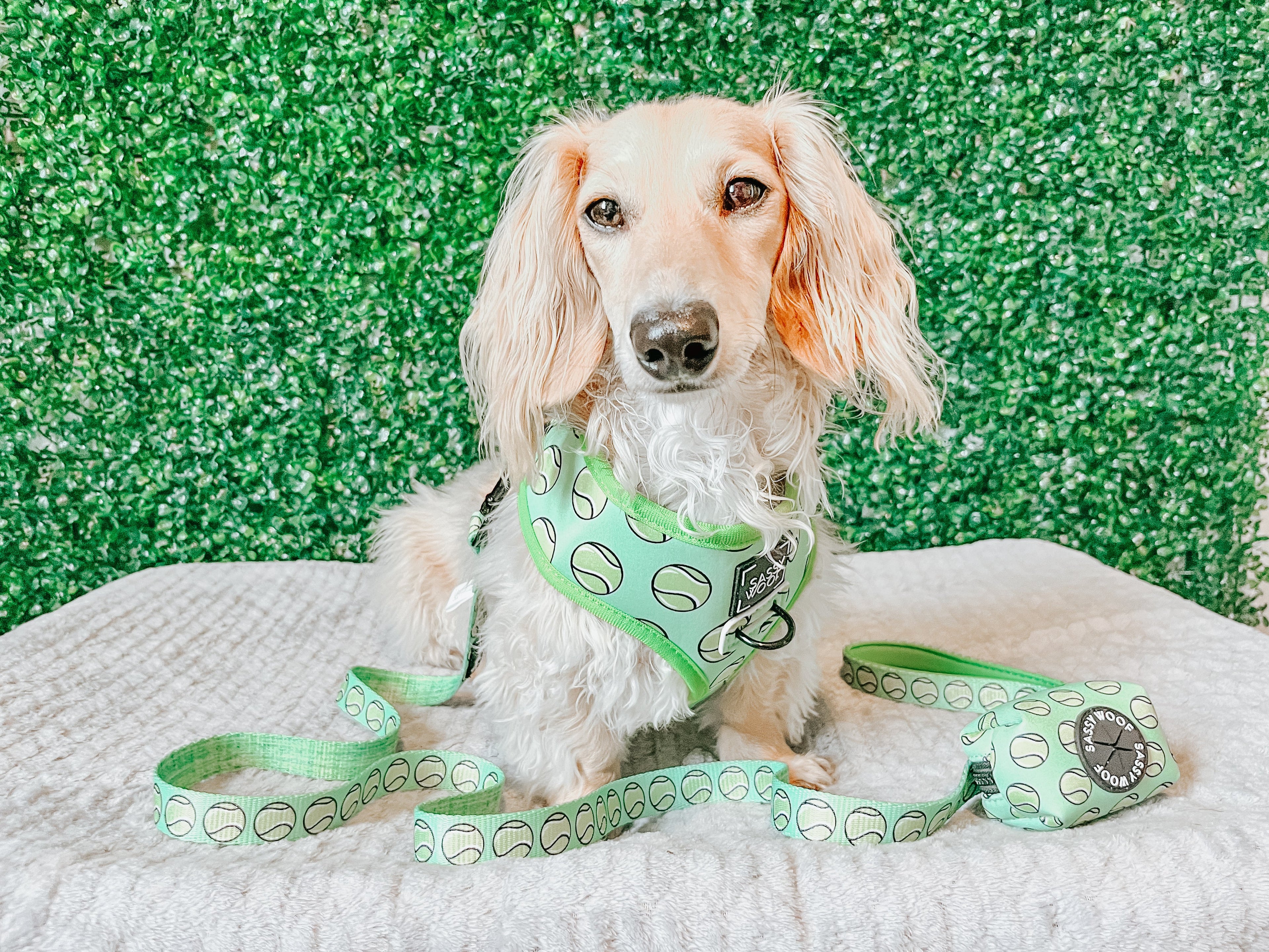 Dog Reversible Harness - Serving Up Sass