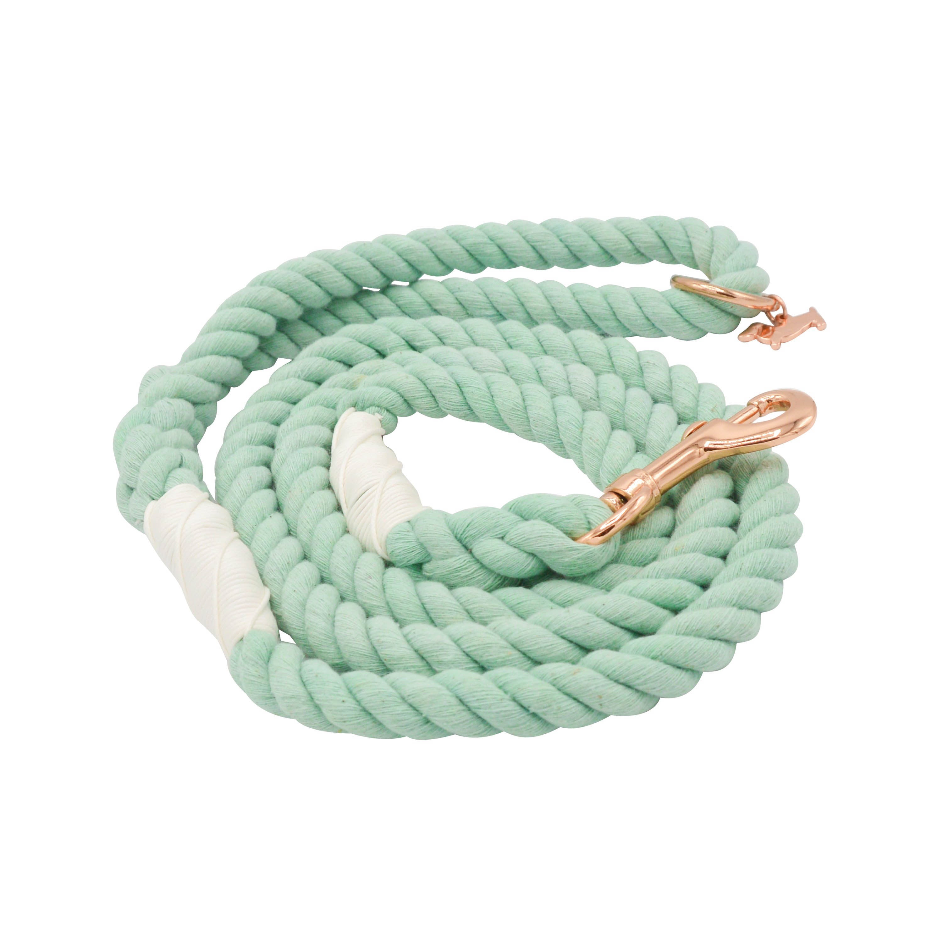 Dog Rope Leash - Mint to Be