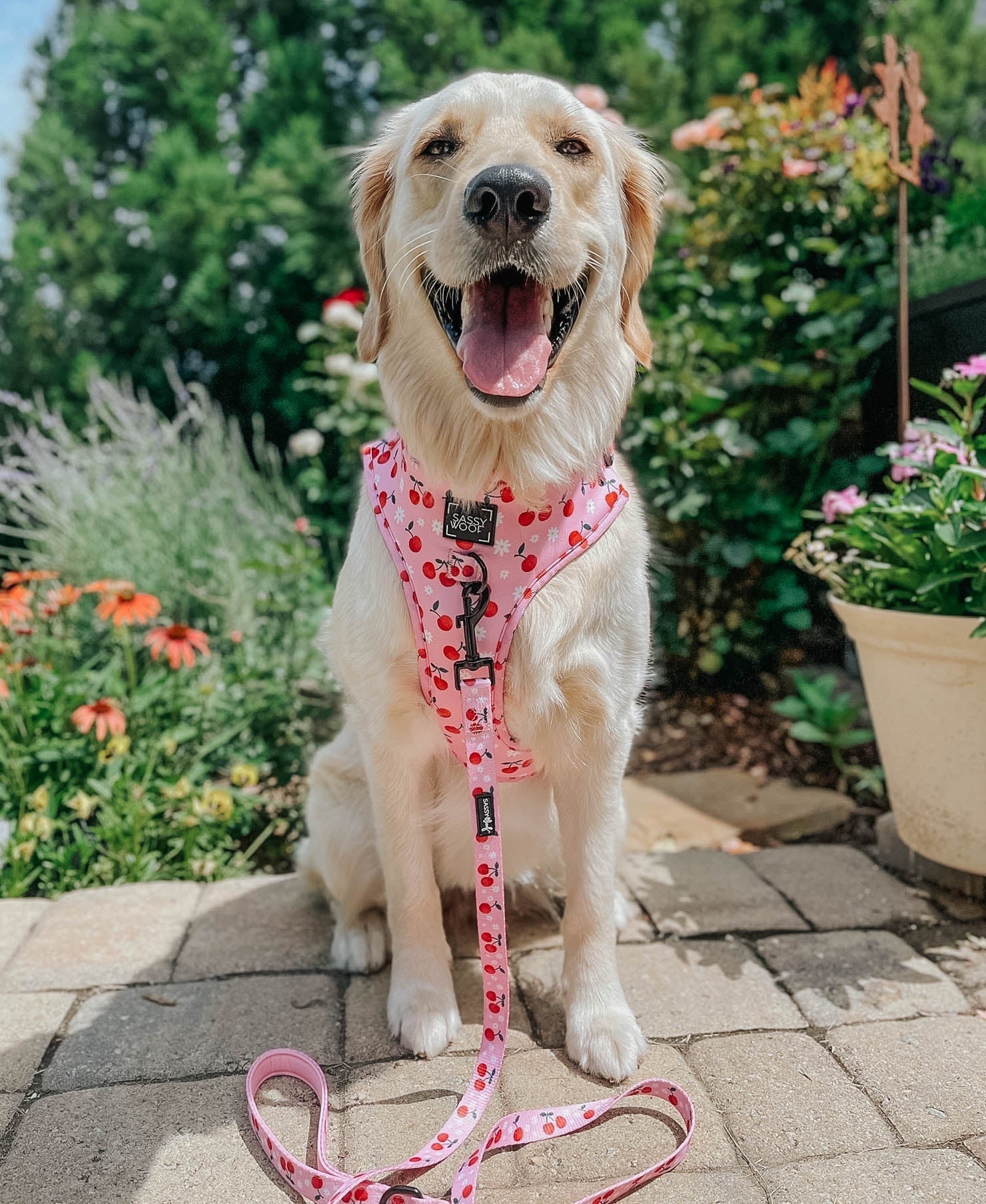 Dog Adjustable Harness - Mon Chérry