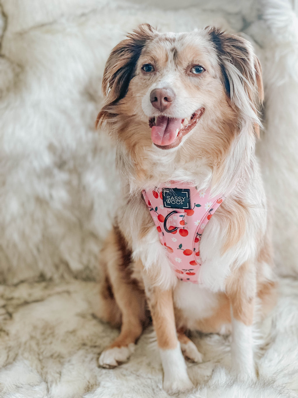 Dog Adjustable Harness - Mon Chérry