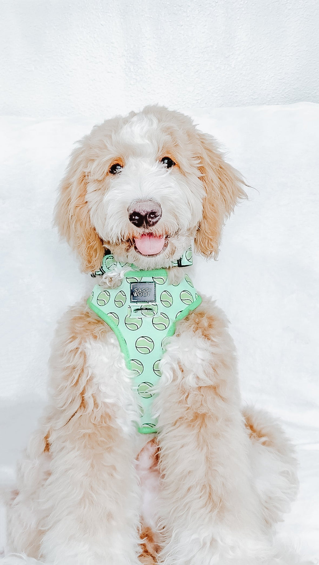 Dog Reversible Harness - Serving Up Sass