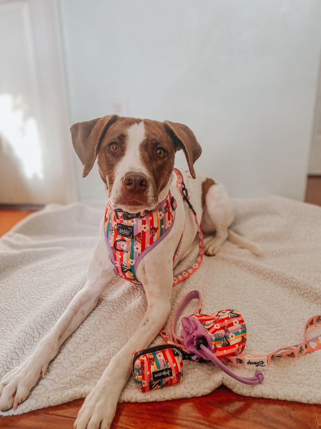 Dog Adjustable Harness - Disney's Bambi