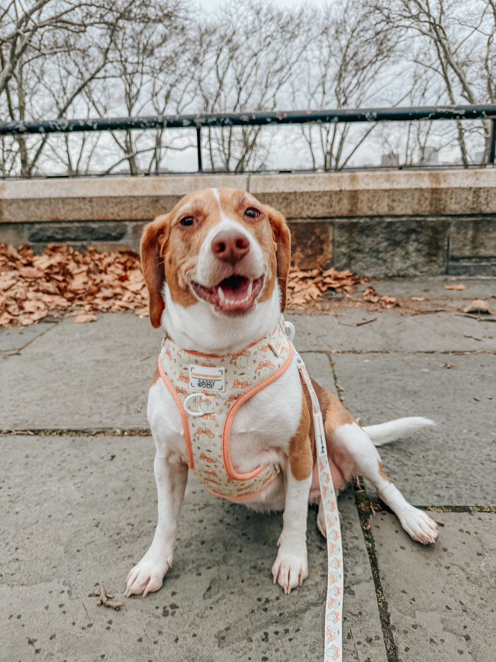 Dog Adjustable Harness - Pompompurin™