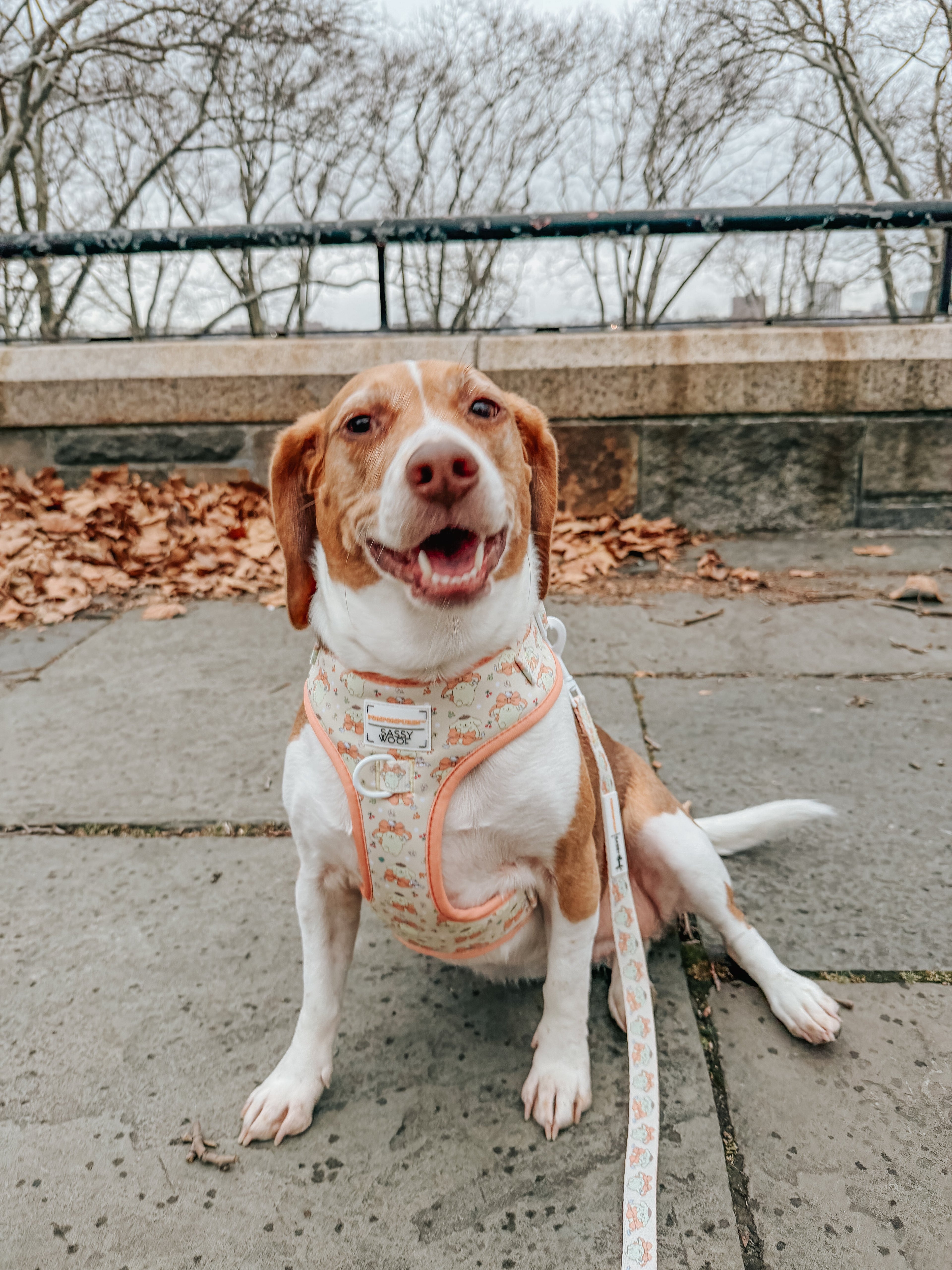 Dog Adjustable Harness - Pompompurin™