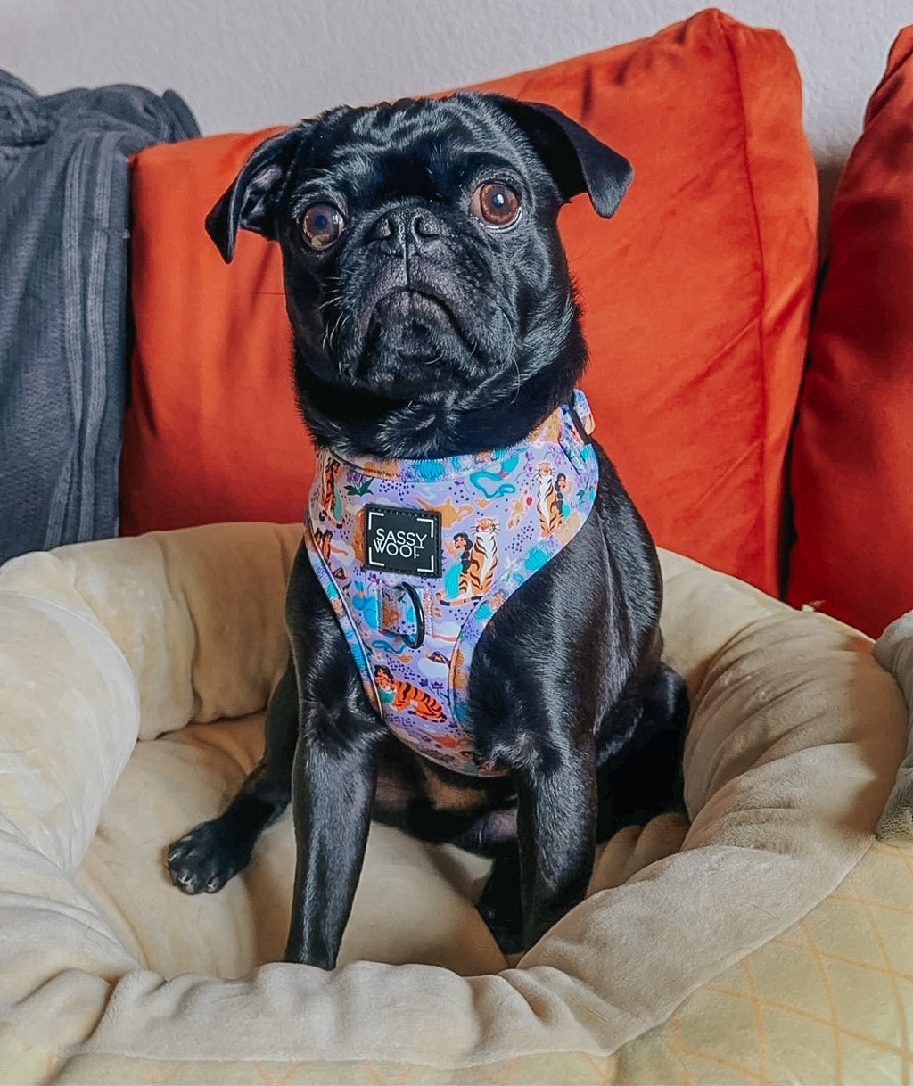Dog Adjustable Harness - Disney's Jasmine