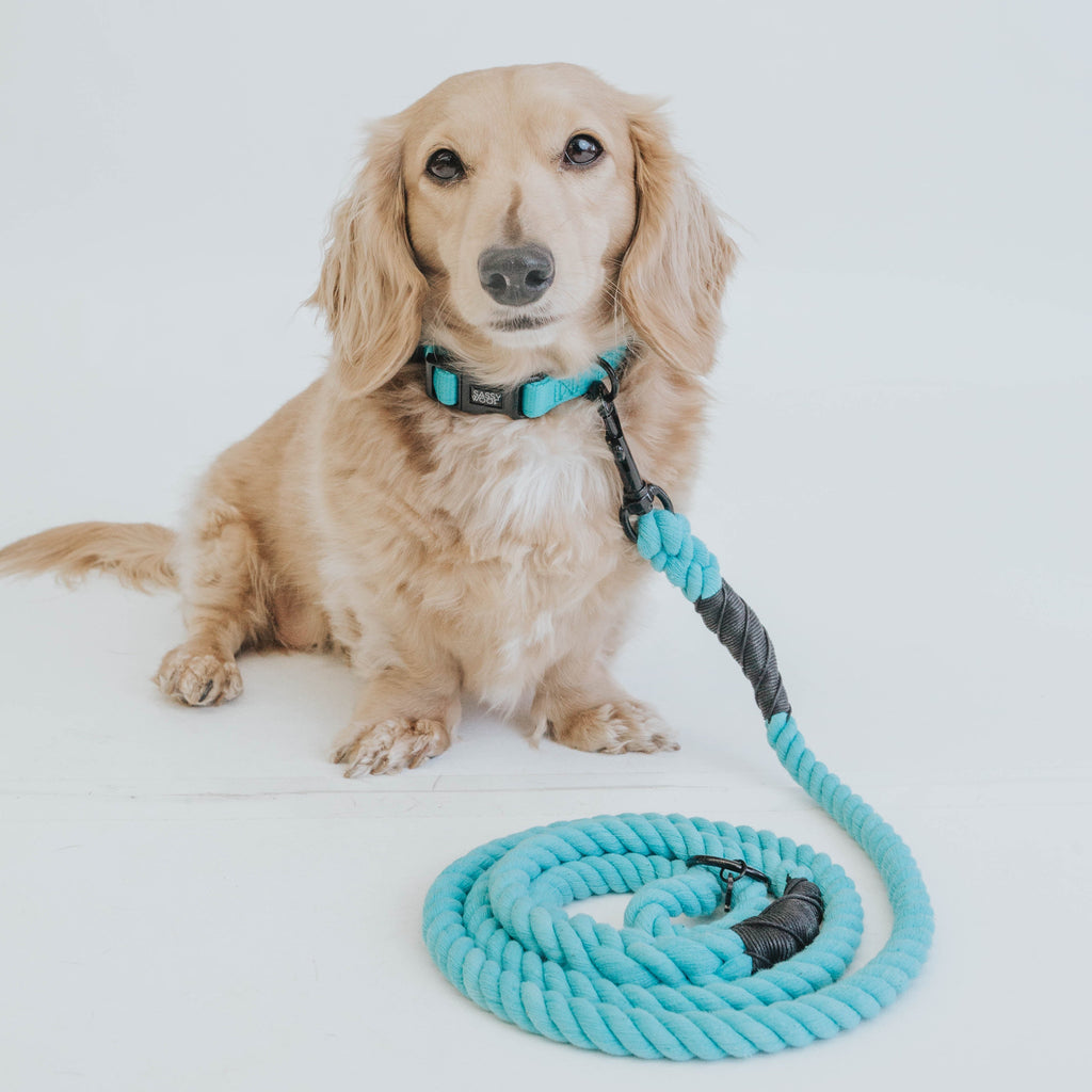 Dog Rope Leash - Neon Blue