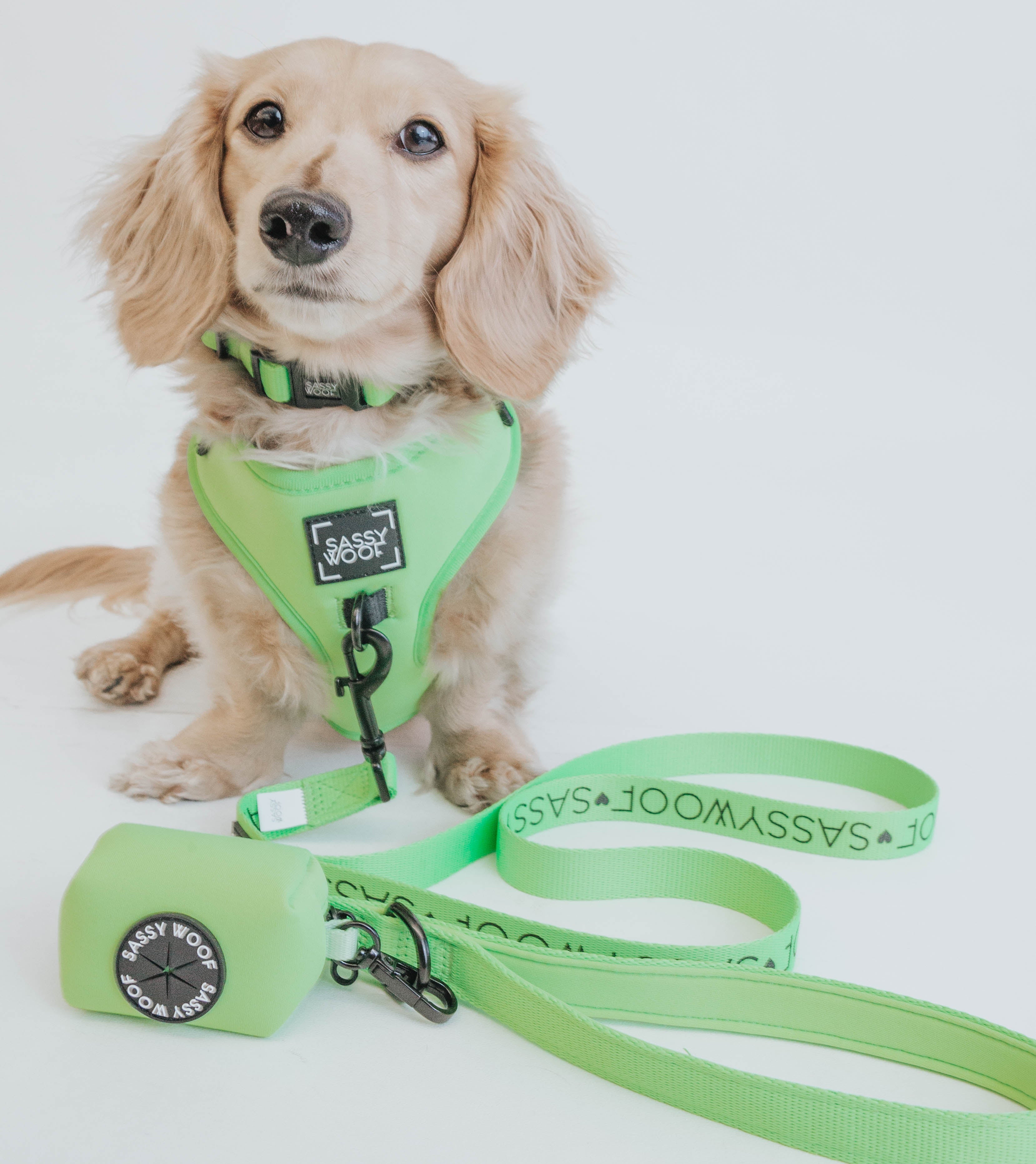 Dog Collar - Neon Green