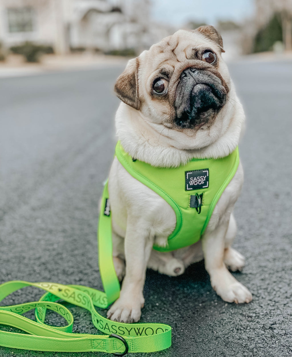 Dog Adjustable Harness - Neon Green