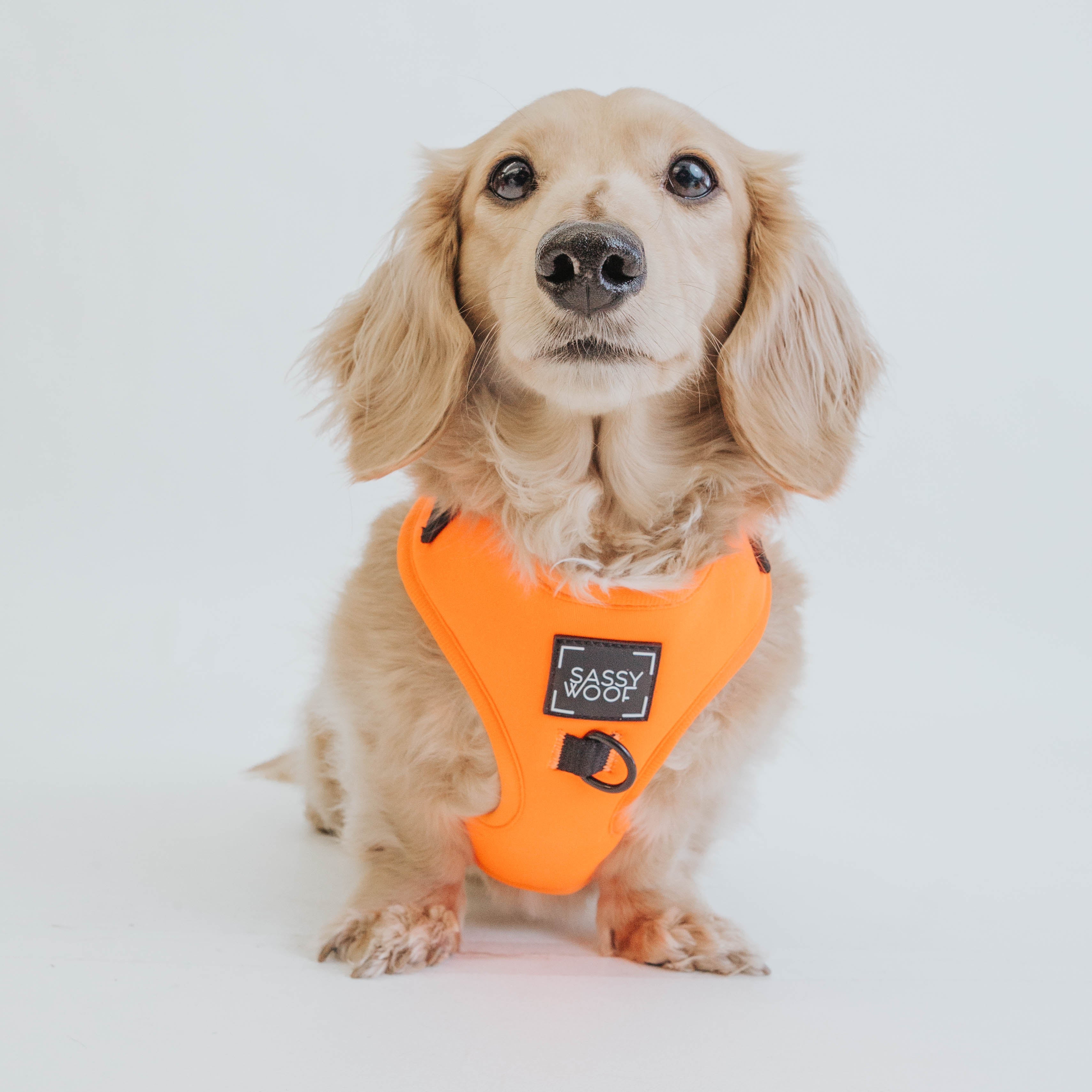 Dog Adjustable Harness - Neon Orange