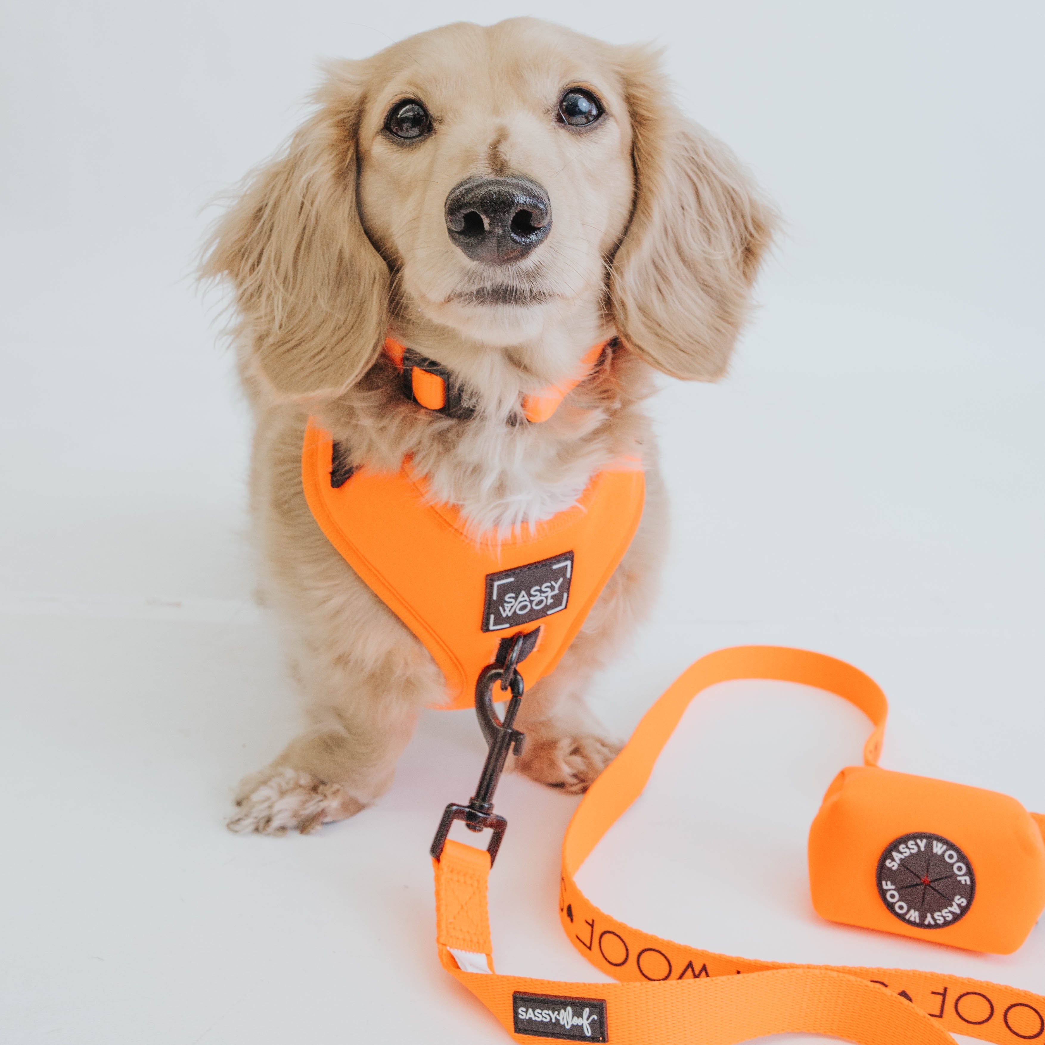 Dog Leash - Neon Orange
