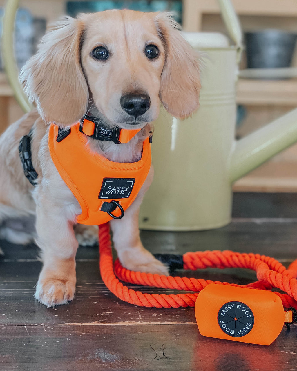 Dog Adjustable Harness - Neon Orange