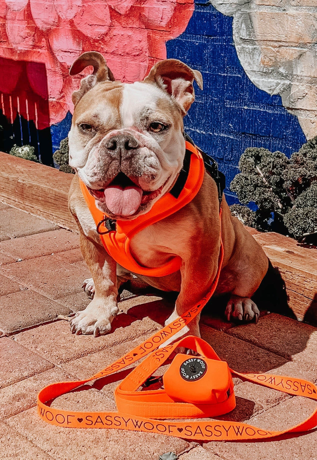 Dog Adjustable Harness - Neon Orange