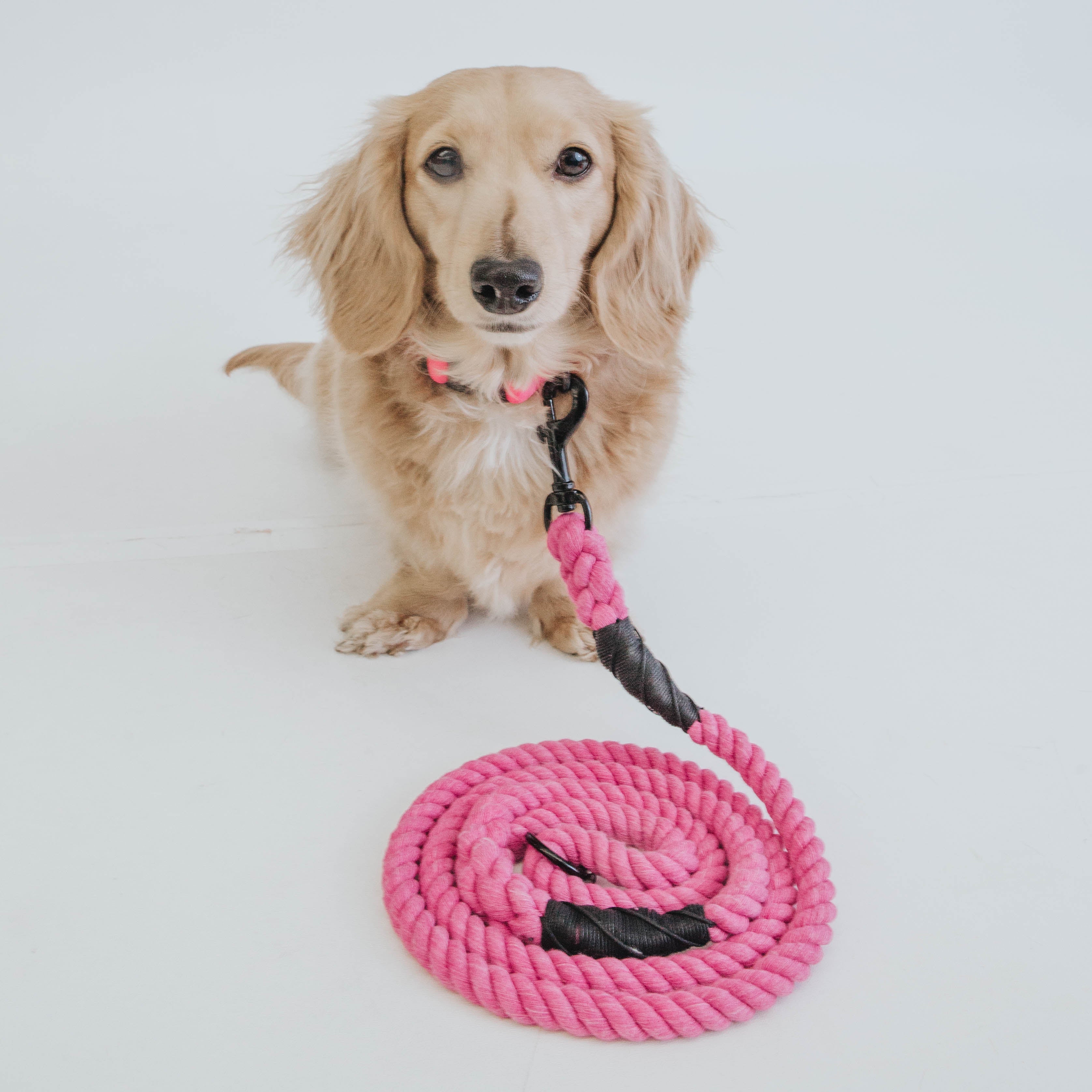 Dog Rope Leash - Neon Pink