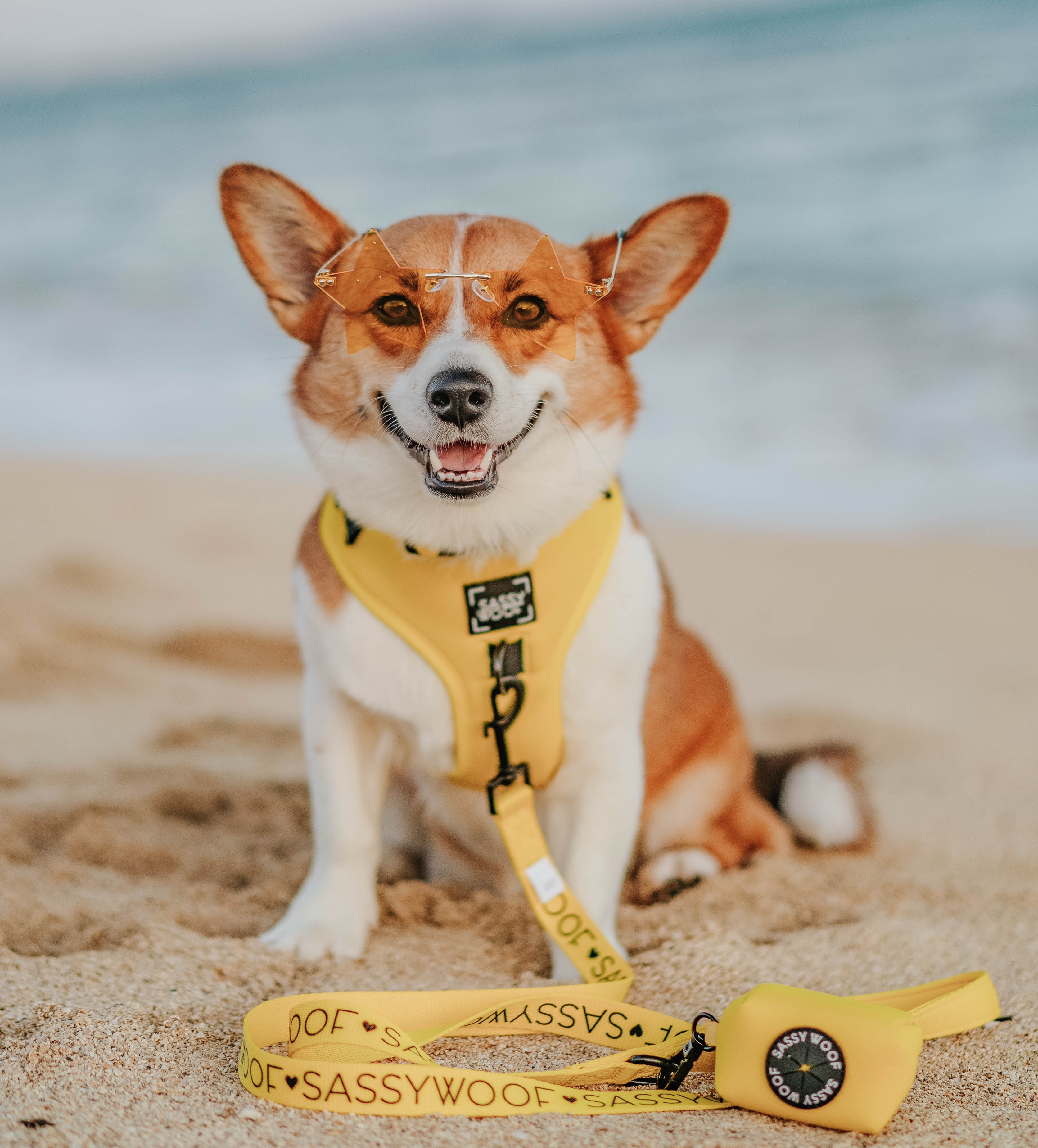 Dog Leash - Neon Yellow