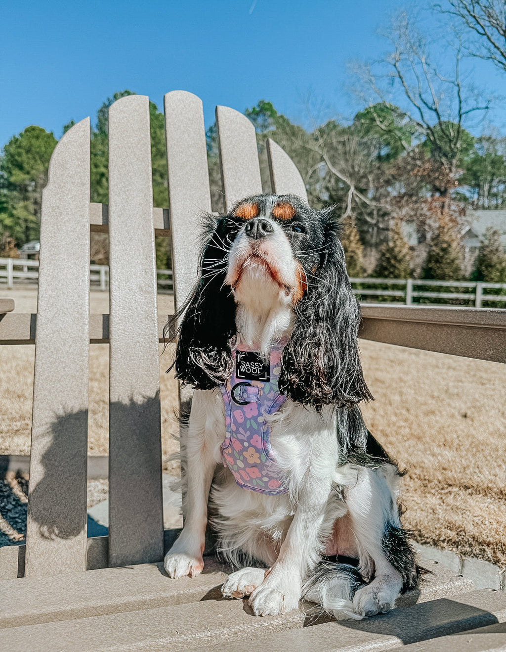 Dog Adjustable Harness - Fleur de Sass