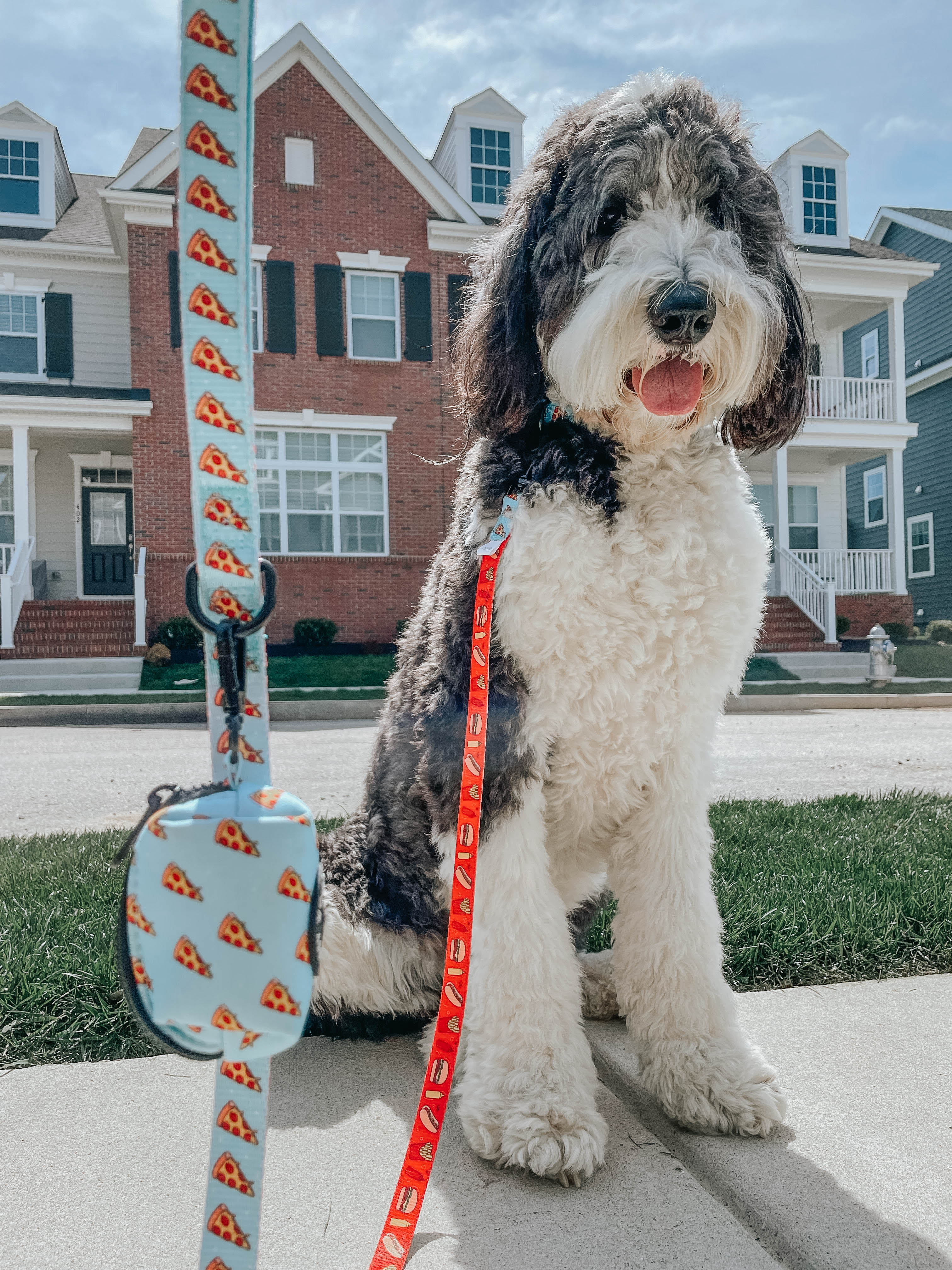Dog Leash - One Hot Pupperoni