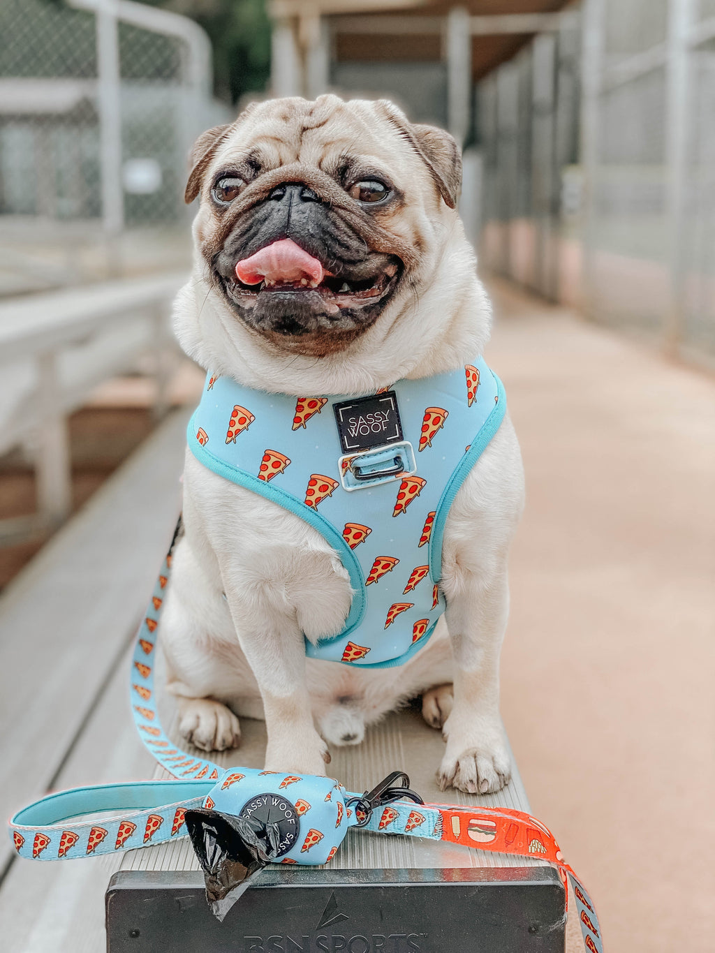 Dog Leash - One Hot Pupperoni
