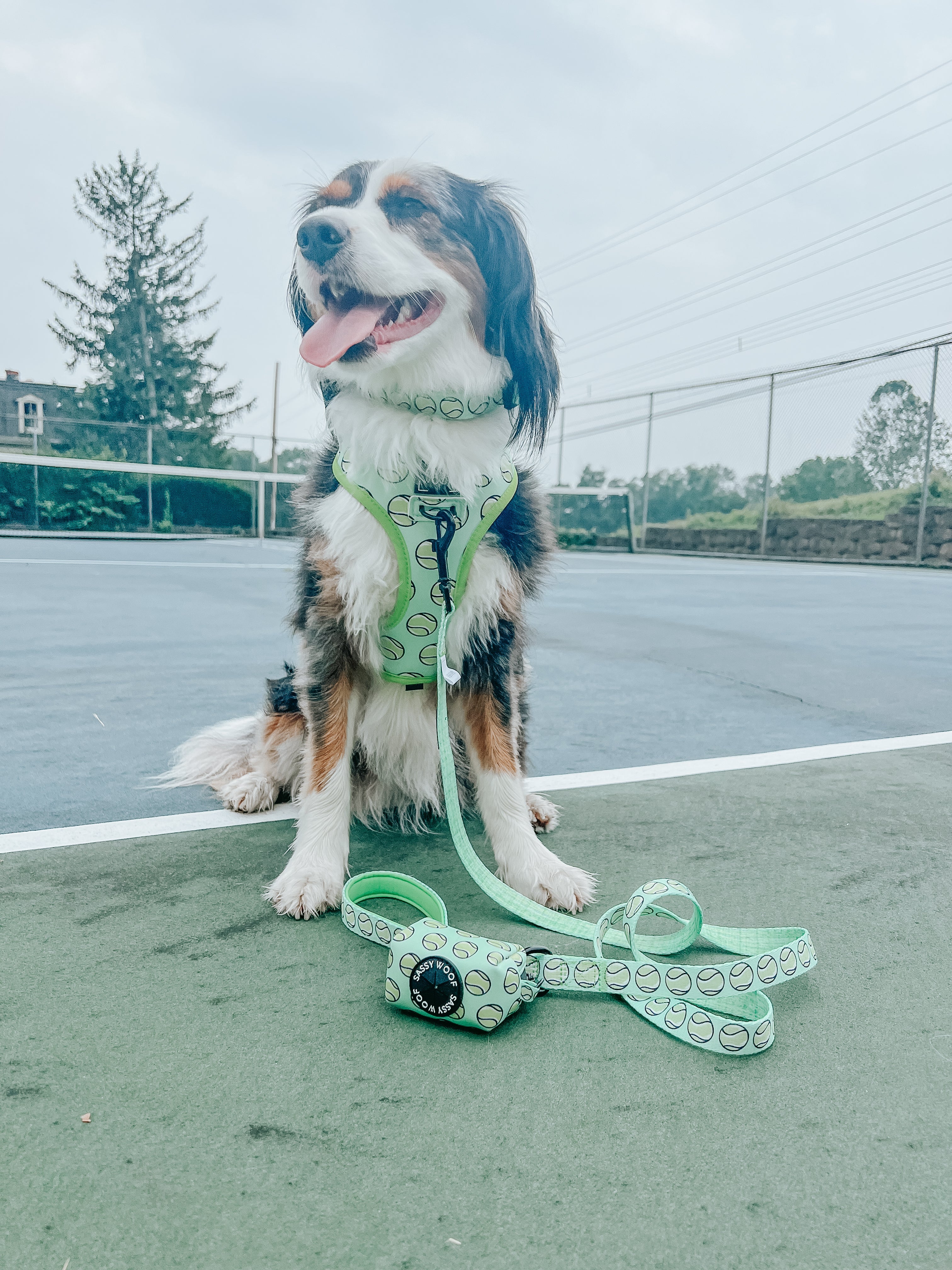 Dog Reversible Harness - Serving Up Sass