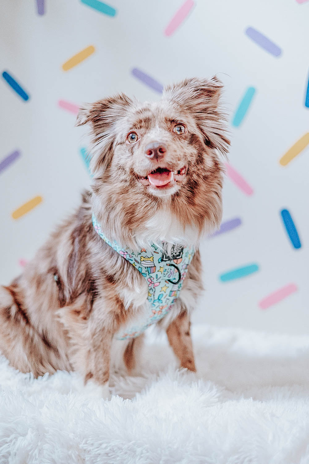 Dog Adjustable Harness - Pup Pup Hooray