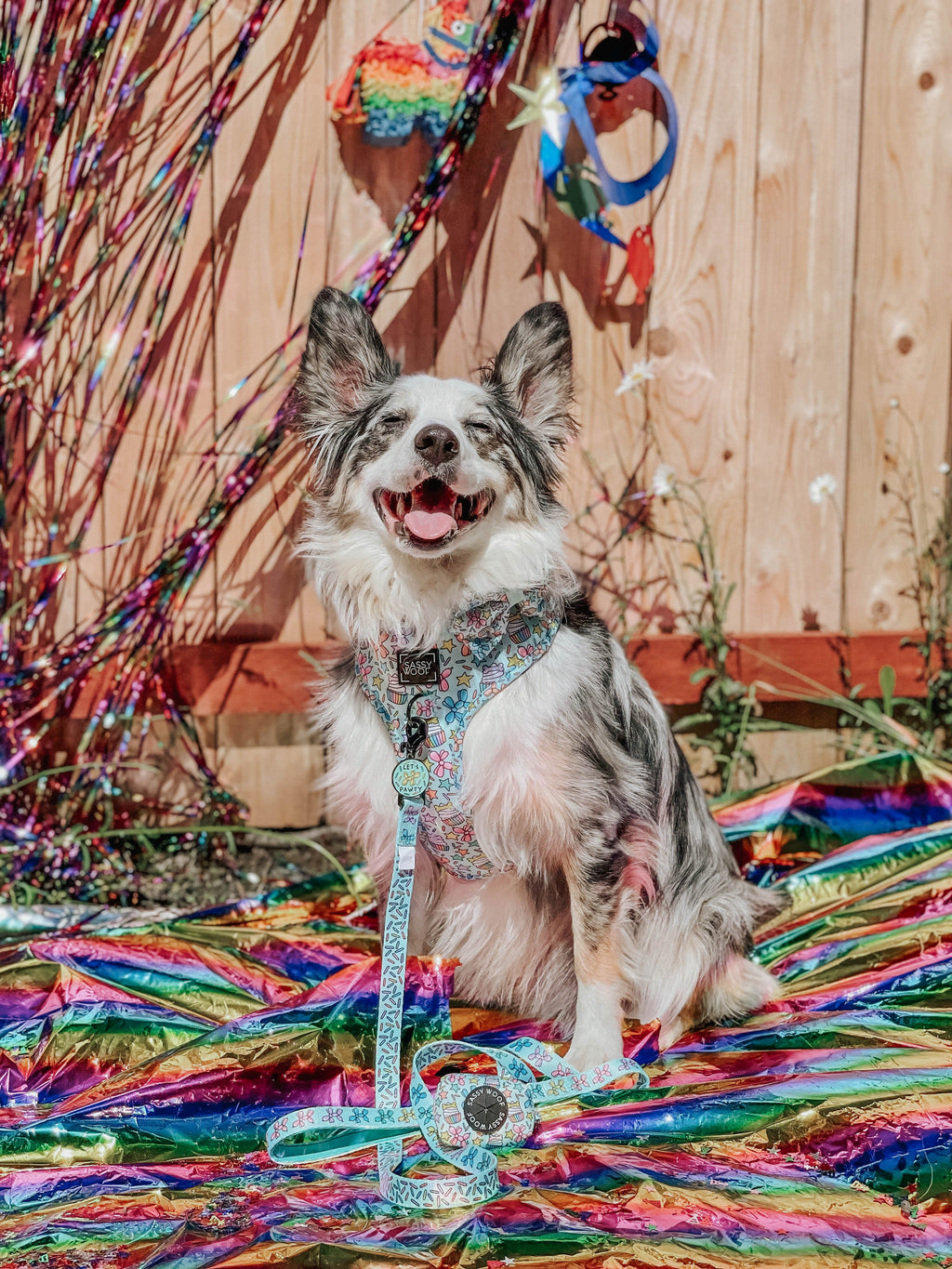 Dog Adjustable Harness - Pup Pup Hooray