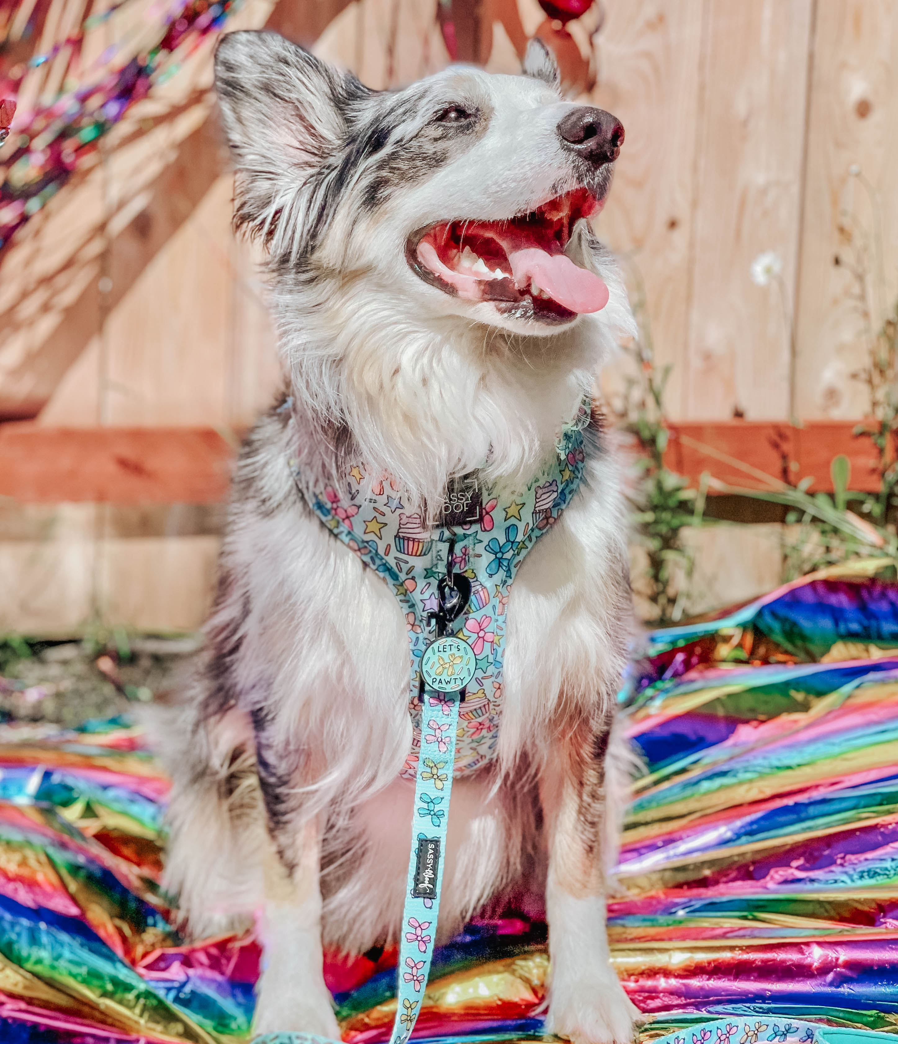 Dog Adjustable Harness - Pup Pup Hooray