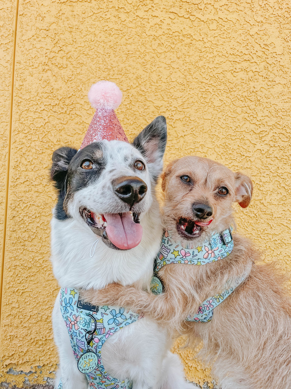 Dog Adjustable Harness - Pup Pup Hooray
