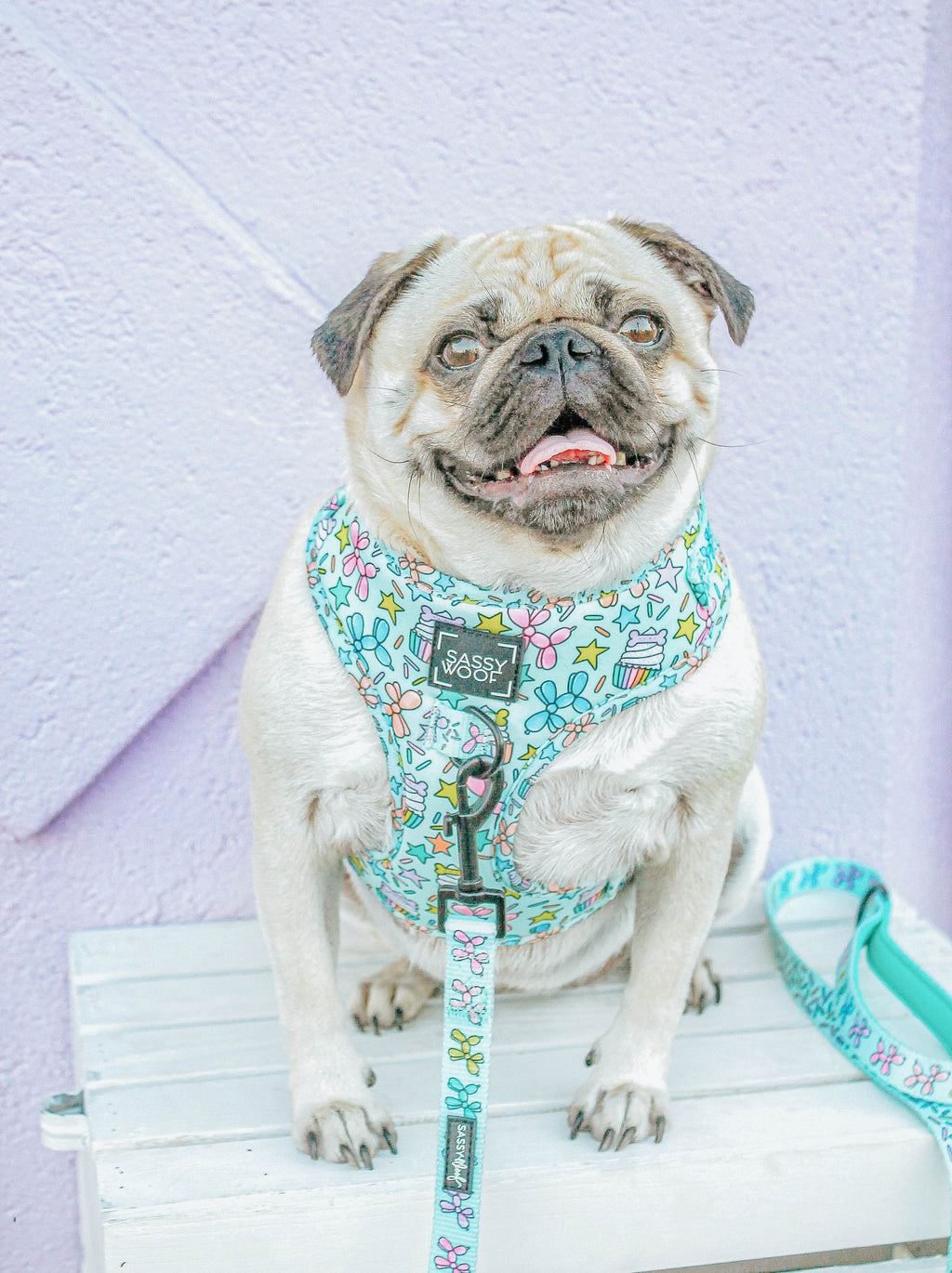 Dog Adjustable Harness - Pup Pup Hooray