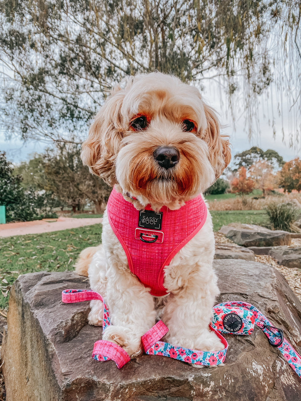 Dog Reversible Harness - Floral Frenzy