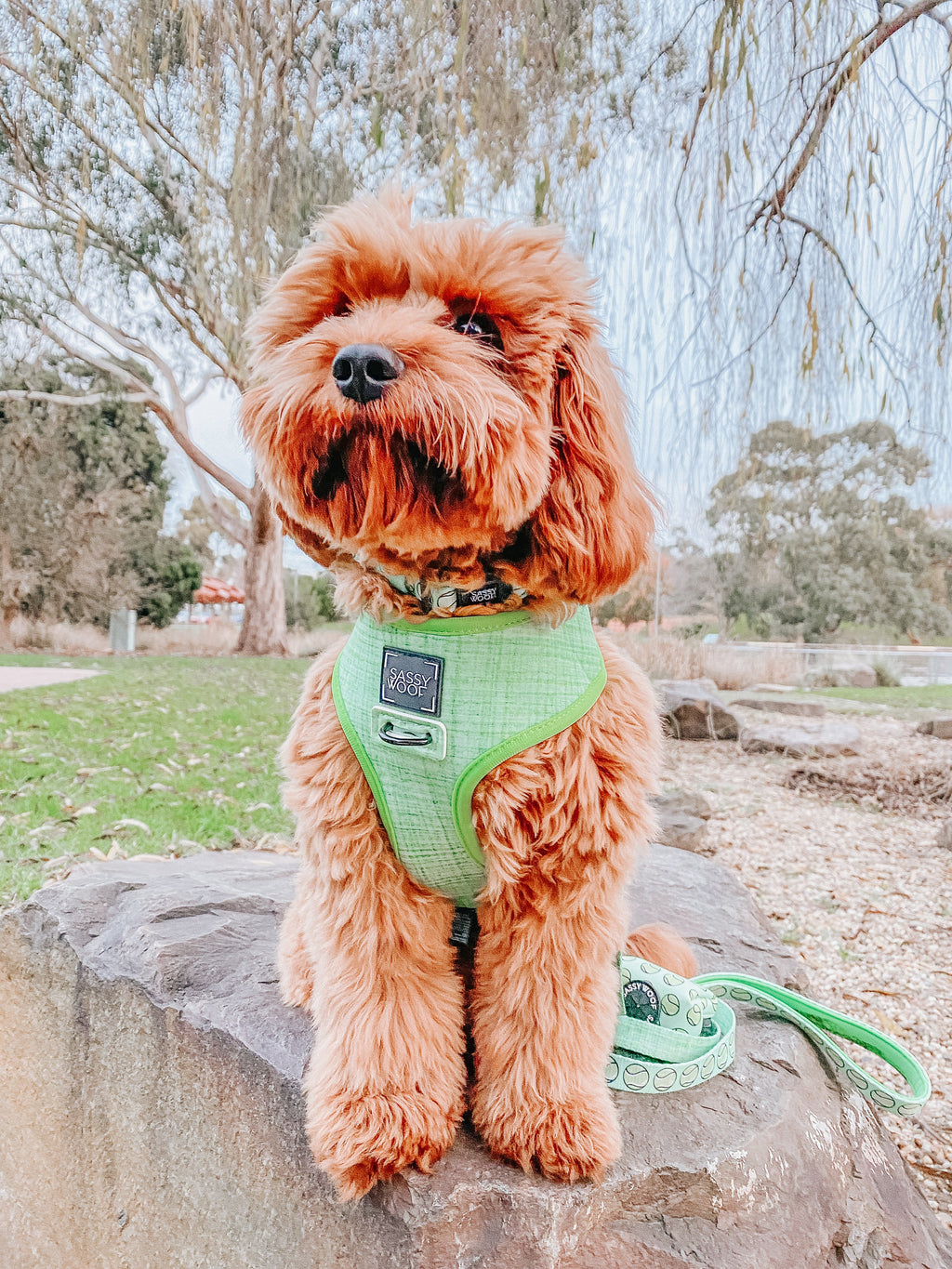 Dog Reversible Harness - Serving Up Sass