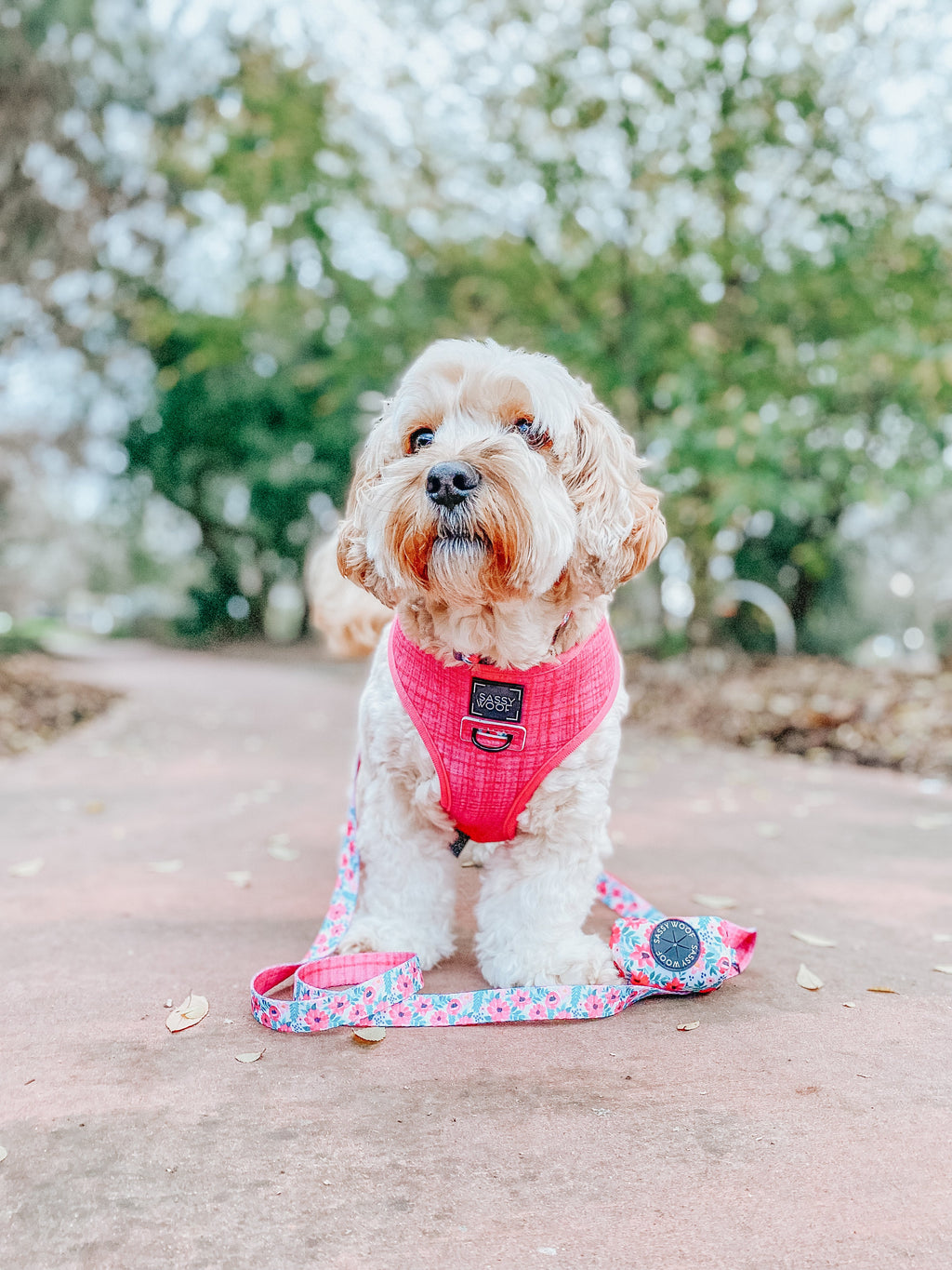 Dog Reversible Harness - Floral Frenzy
