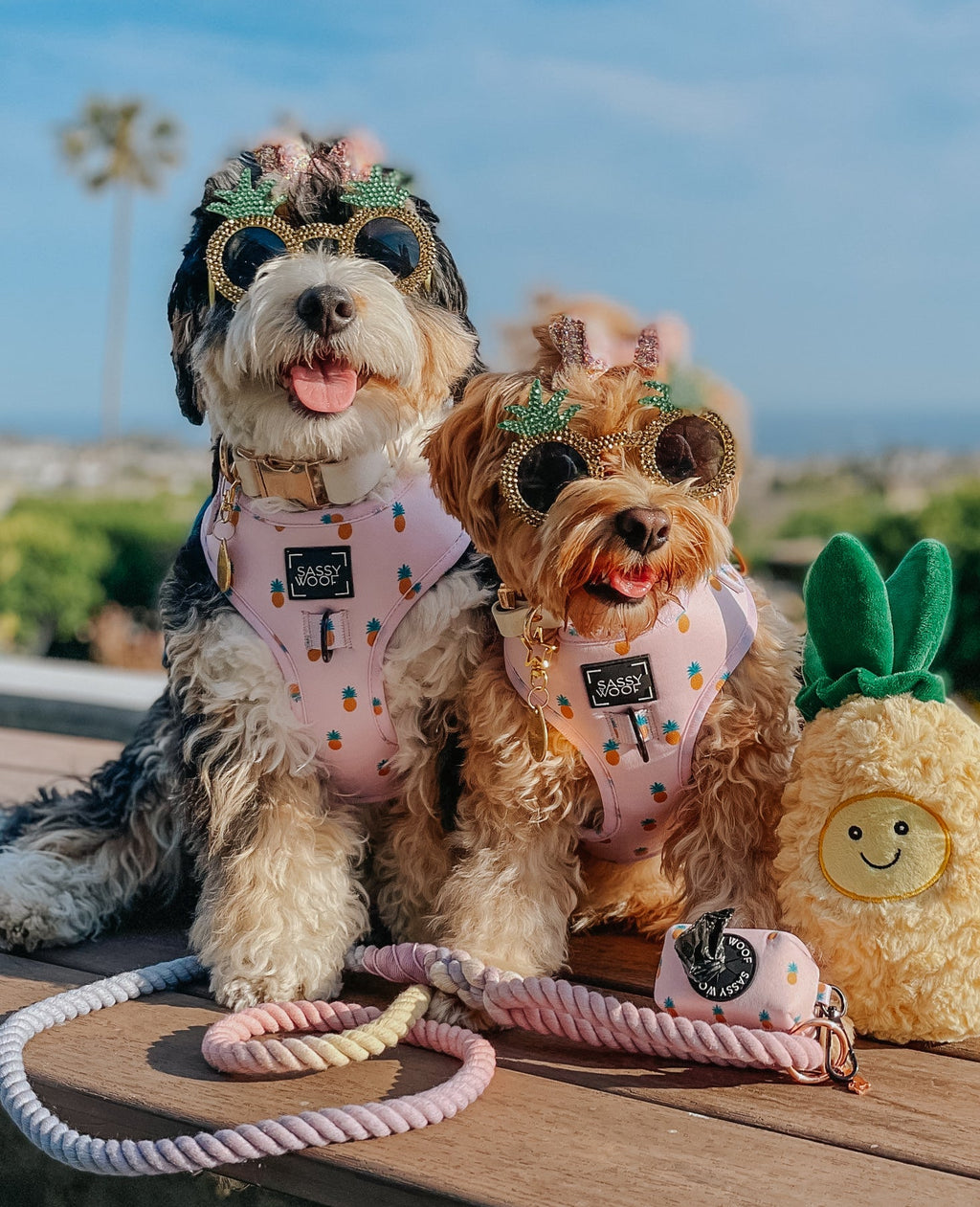Dog Rope Leash - Caroline