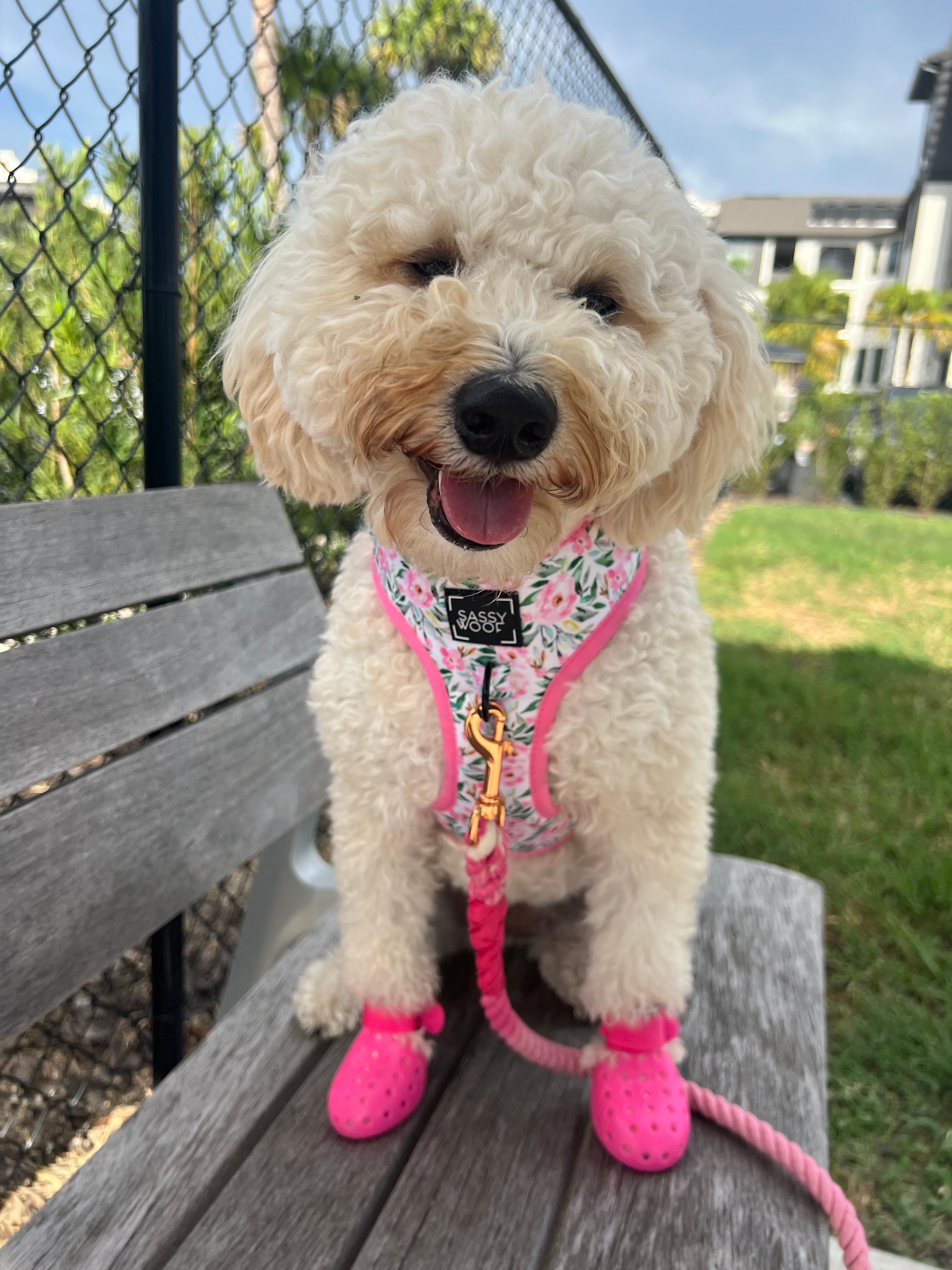 Dog Adjustable Harness - Magnolia