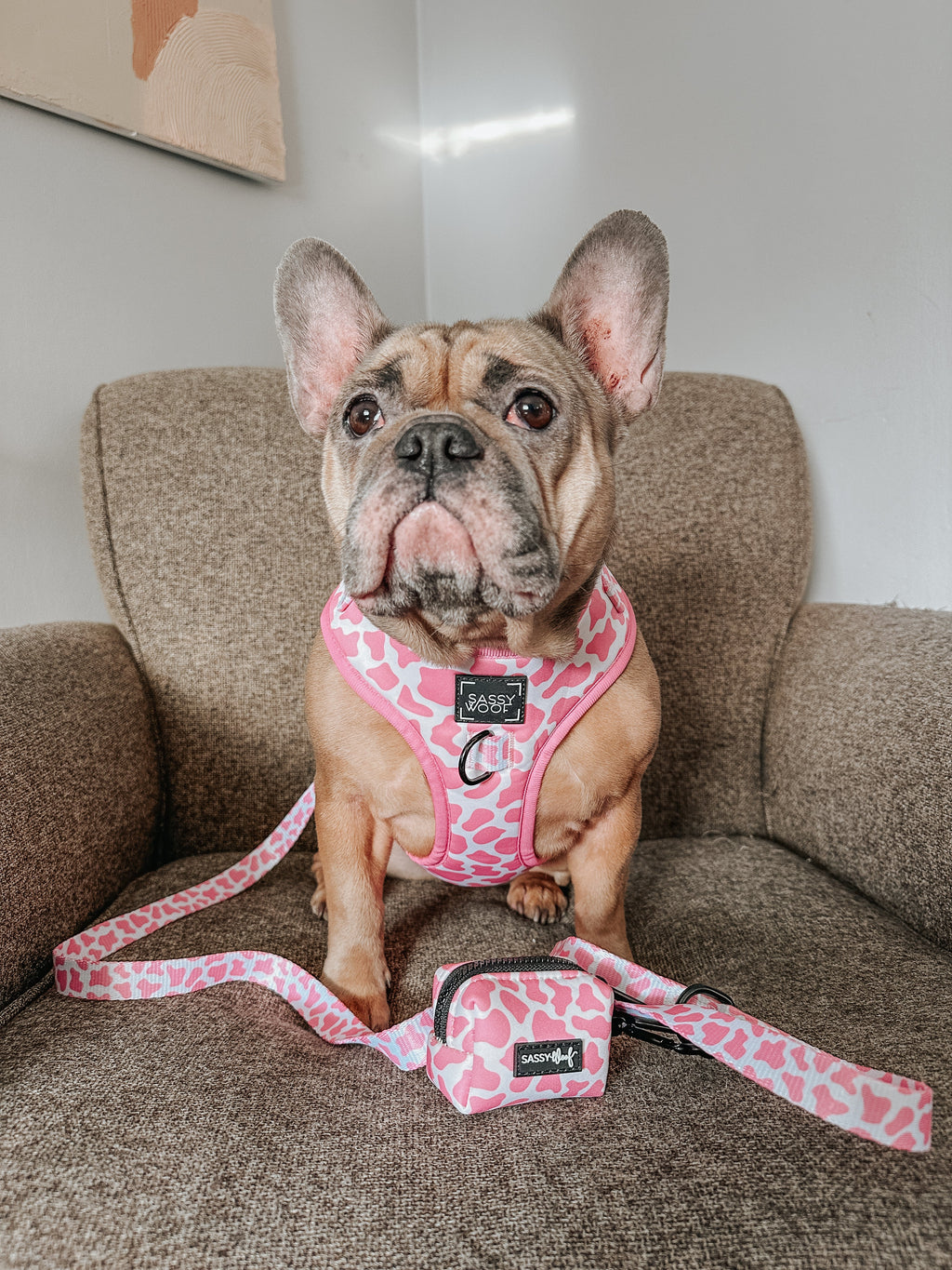 Dog Leash - Strawberry Milk