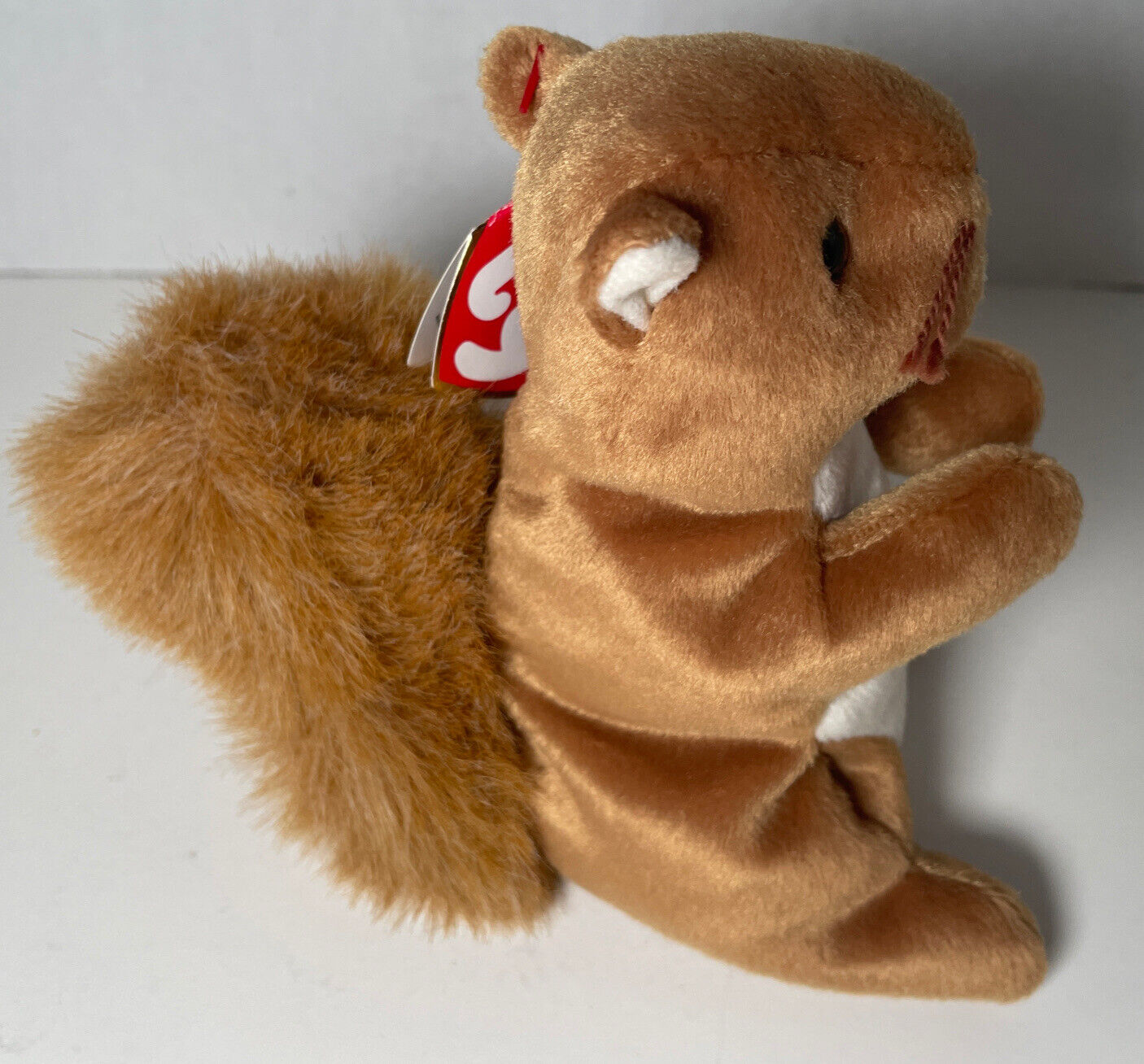 1996 Nuts The Squirrel Beanie Baby In Mint Condition With Multiple Tag Errors!