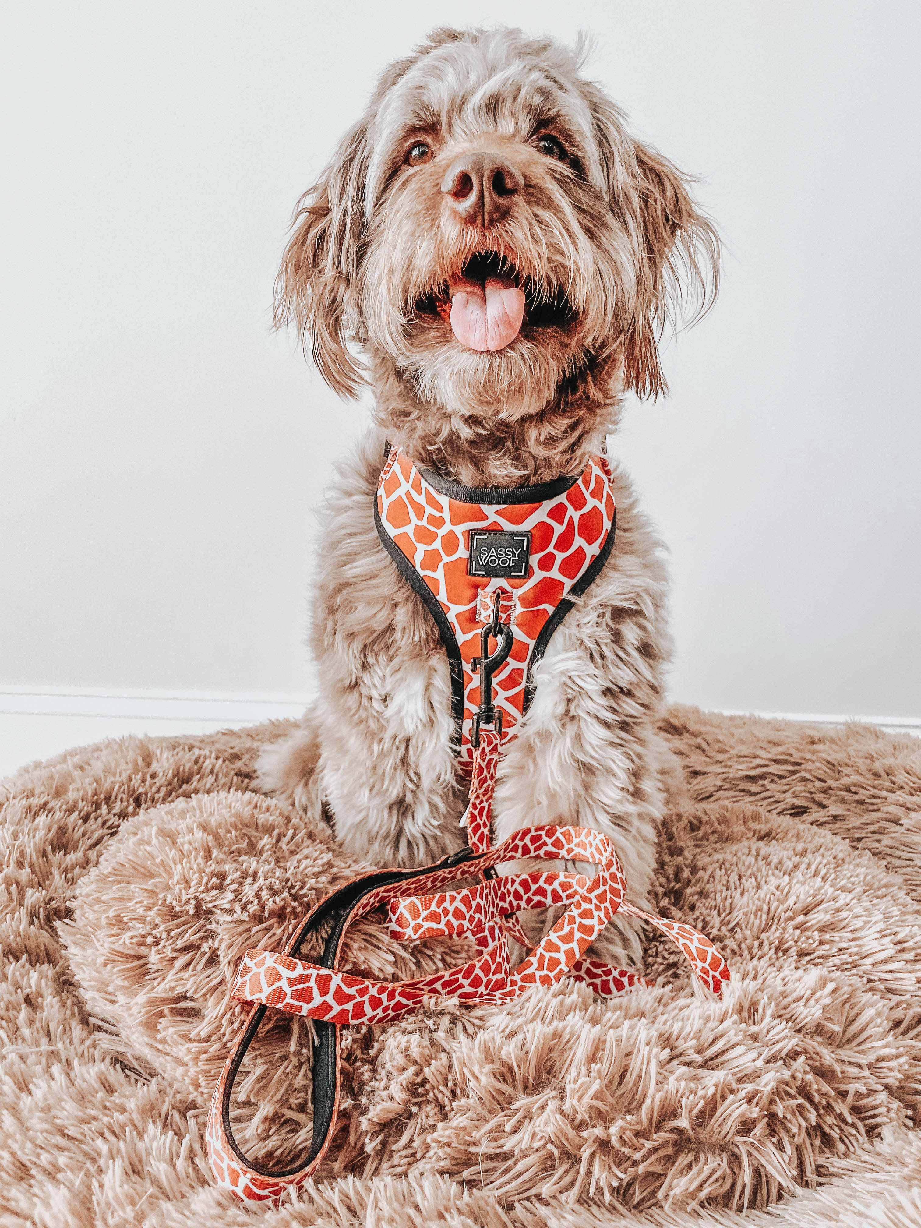 Dog Adjustable Harness - Giraffic Park