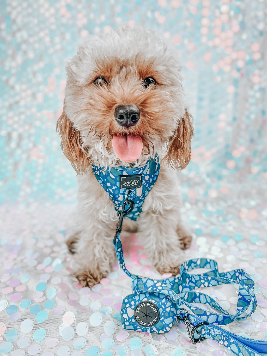 Dog Adjustable Harness - Santorini