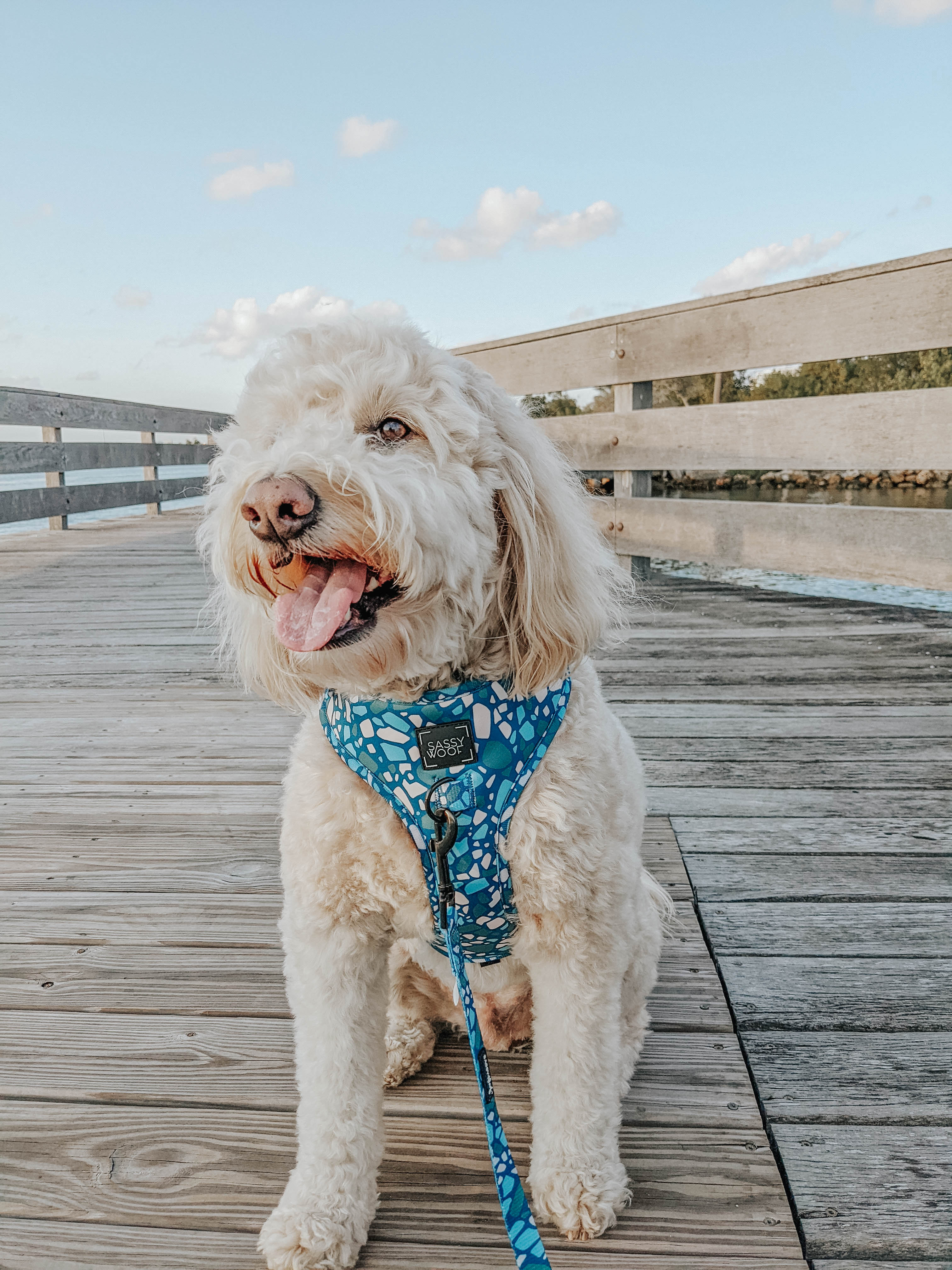 Dog Adjustable Harness - Santorini